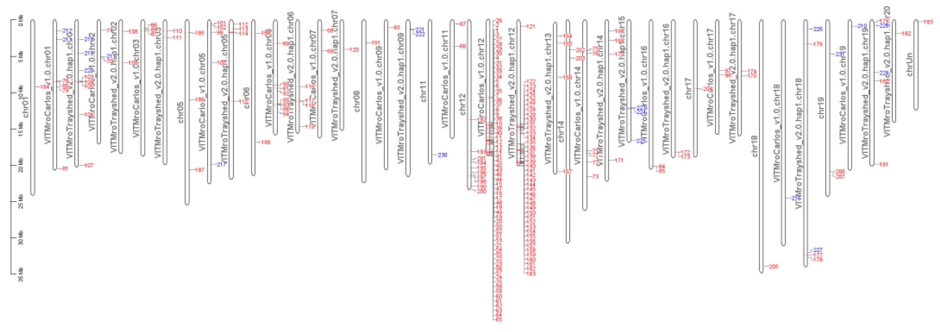 Preprints 108503 g010