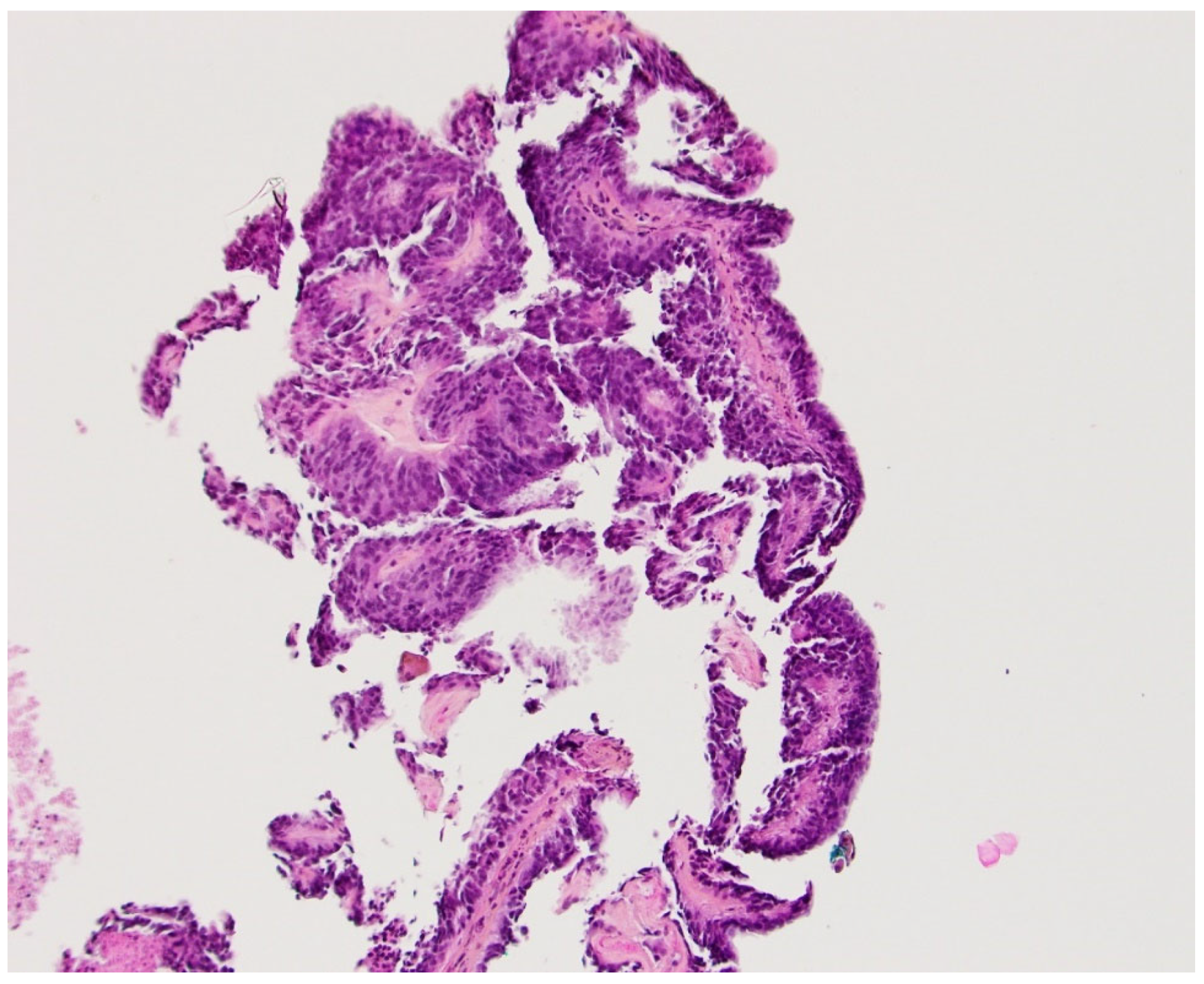 Preprints 120186 g003