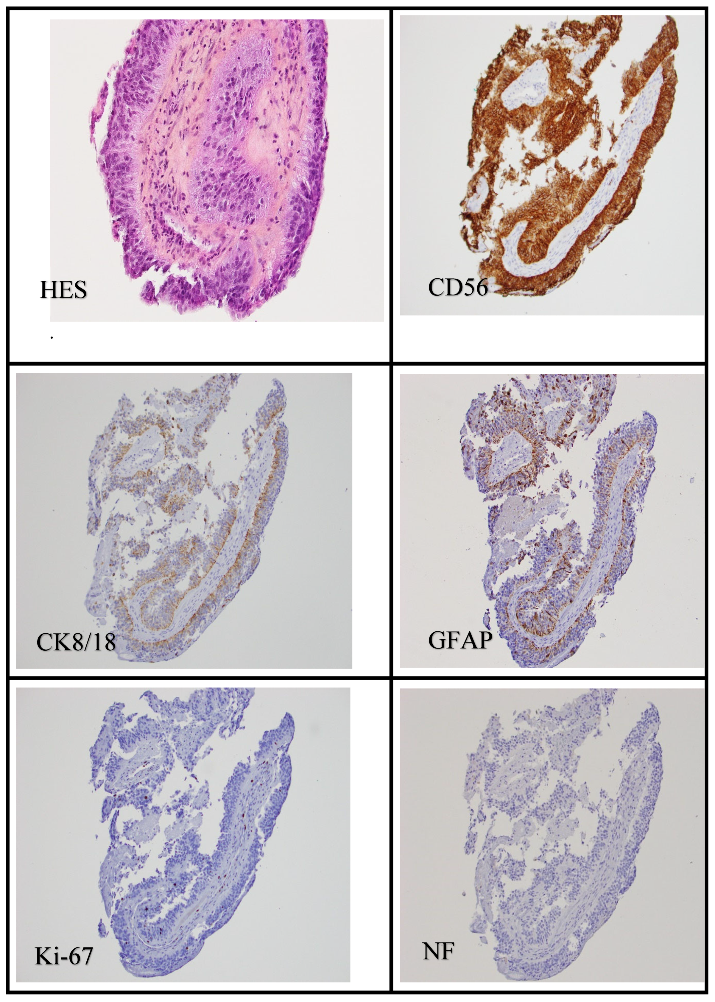 Preprints 120186 g004