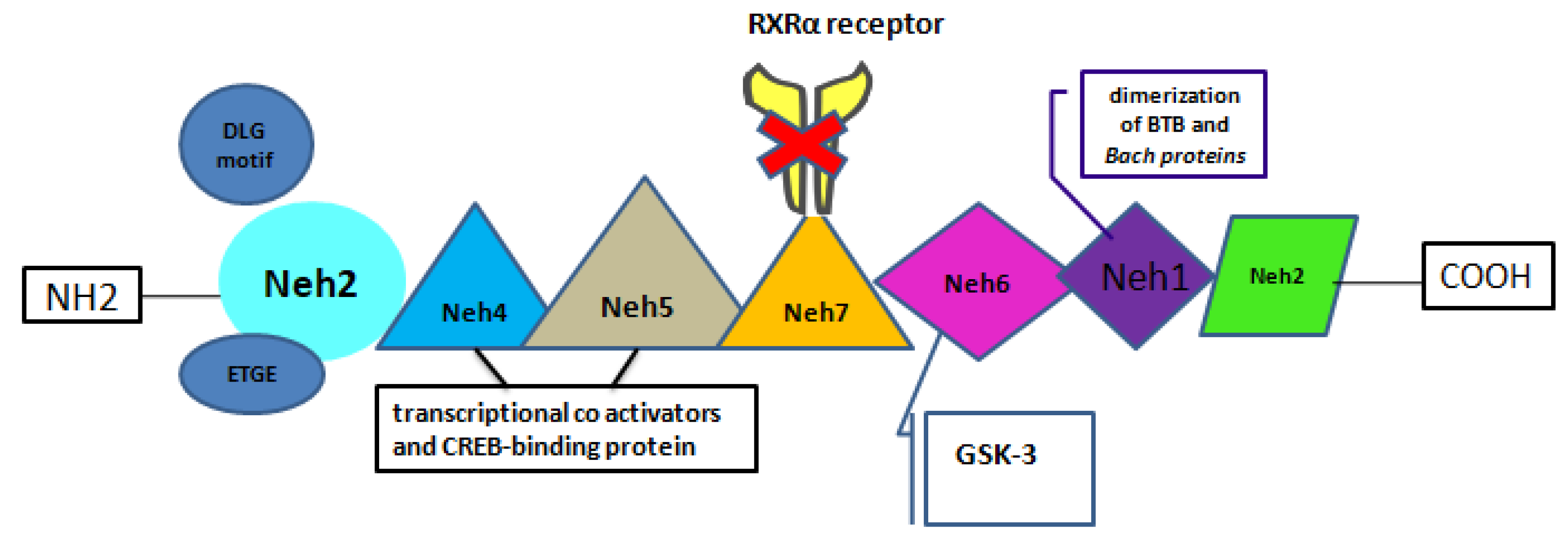 Preprints 149889 g001