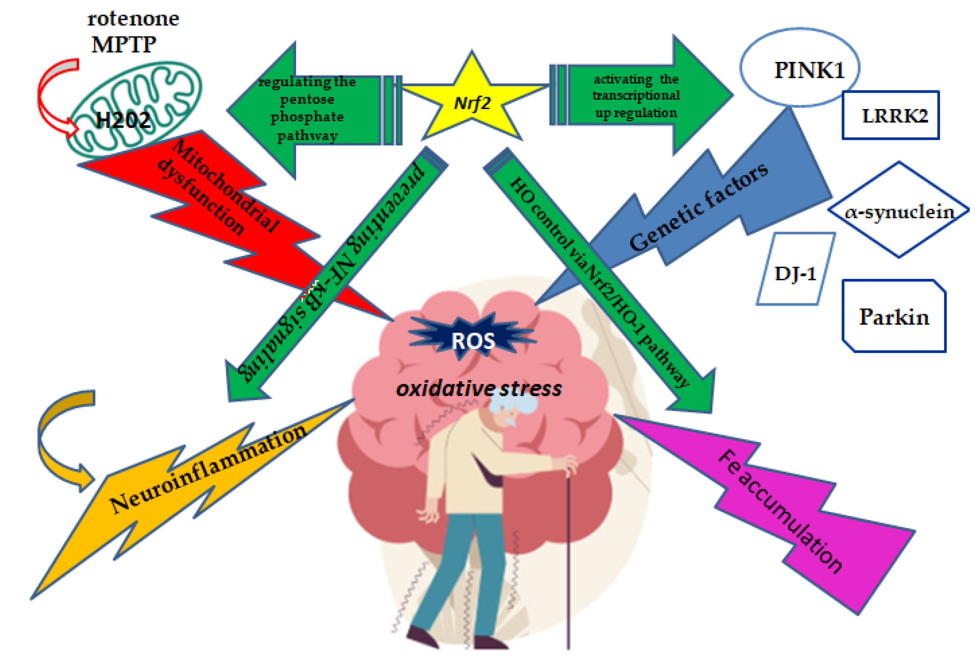 Preprints 149889 g002