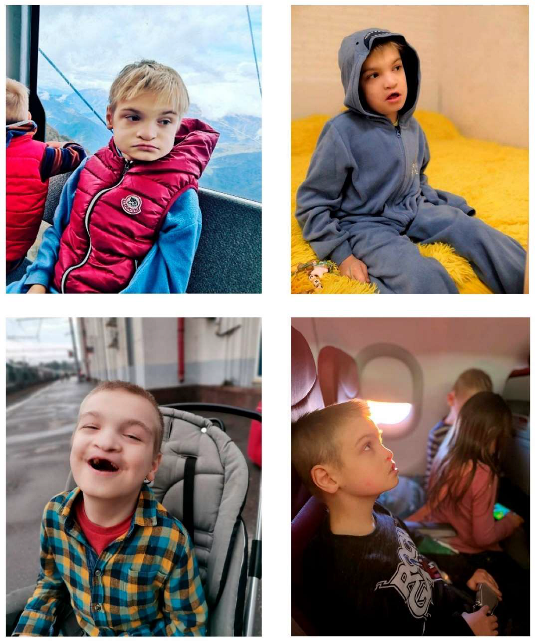 Preprints 138954 g001