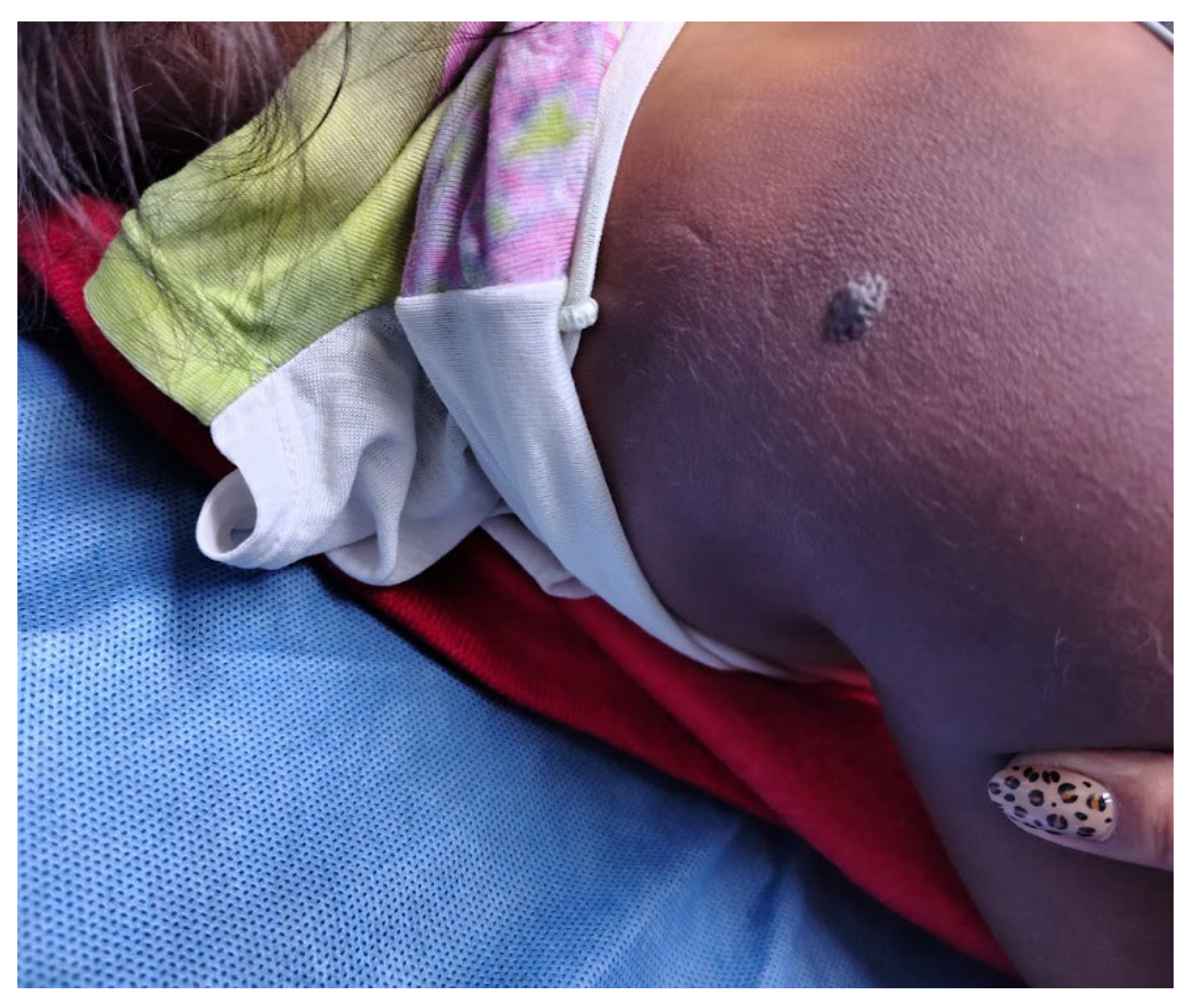 Preprints 192040 g001