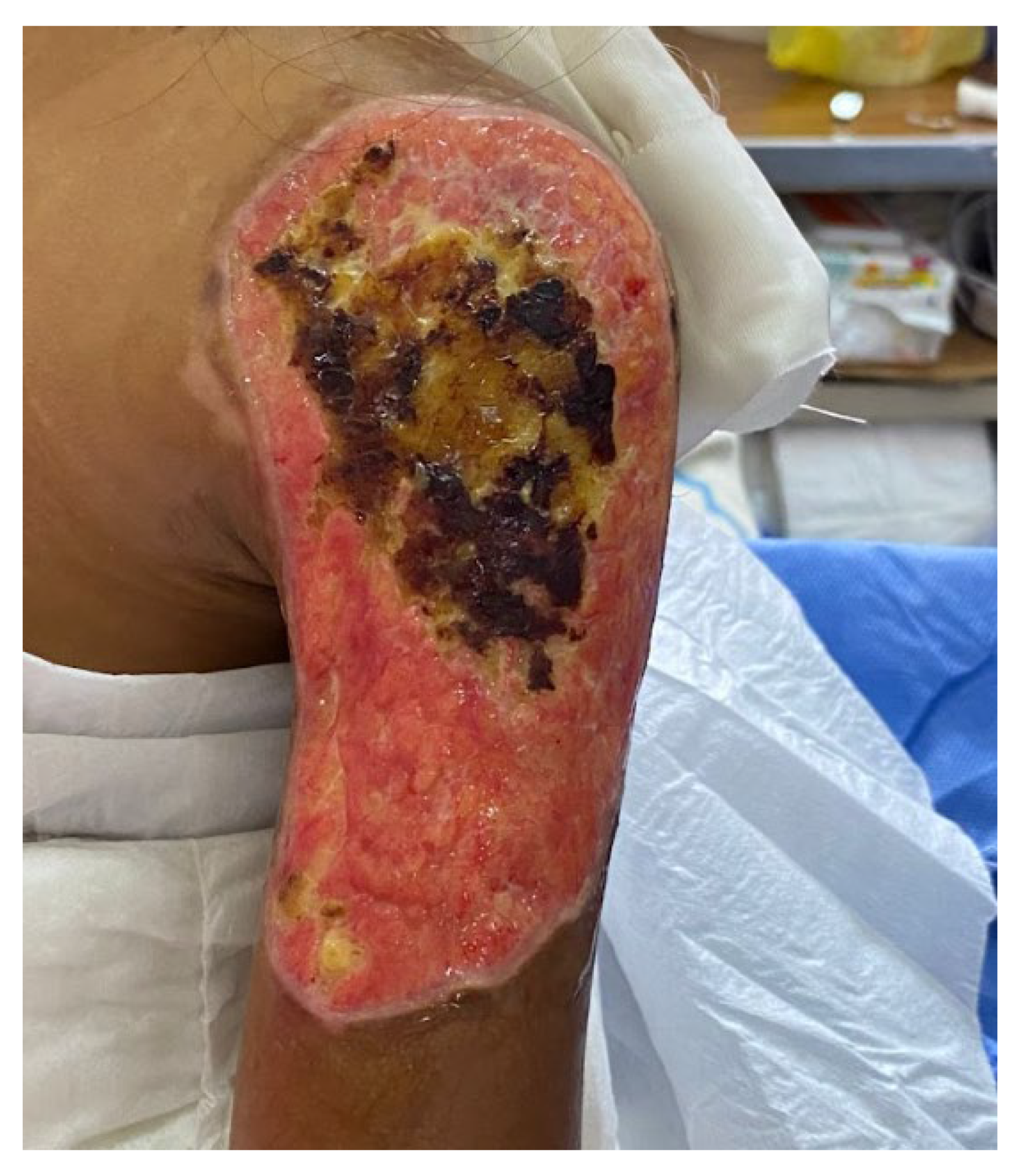 Preprints 192040 g002