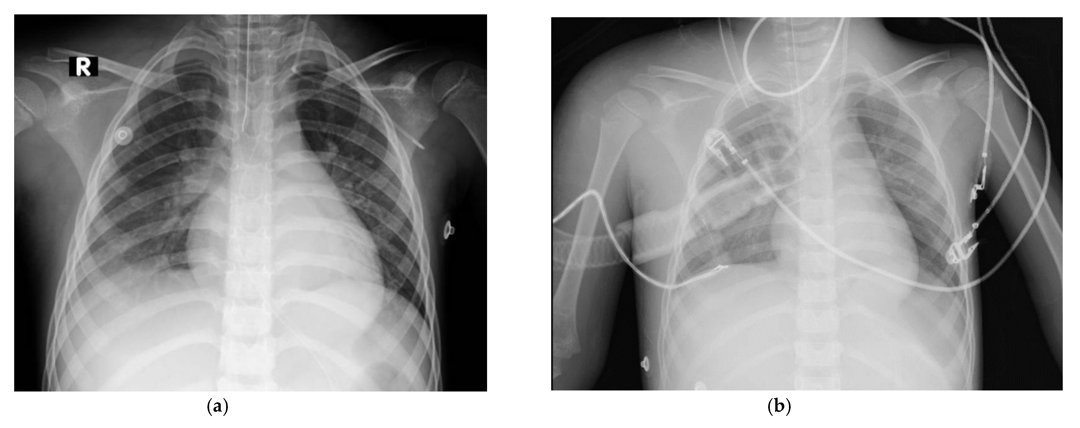 Preprints 192040 g003