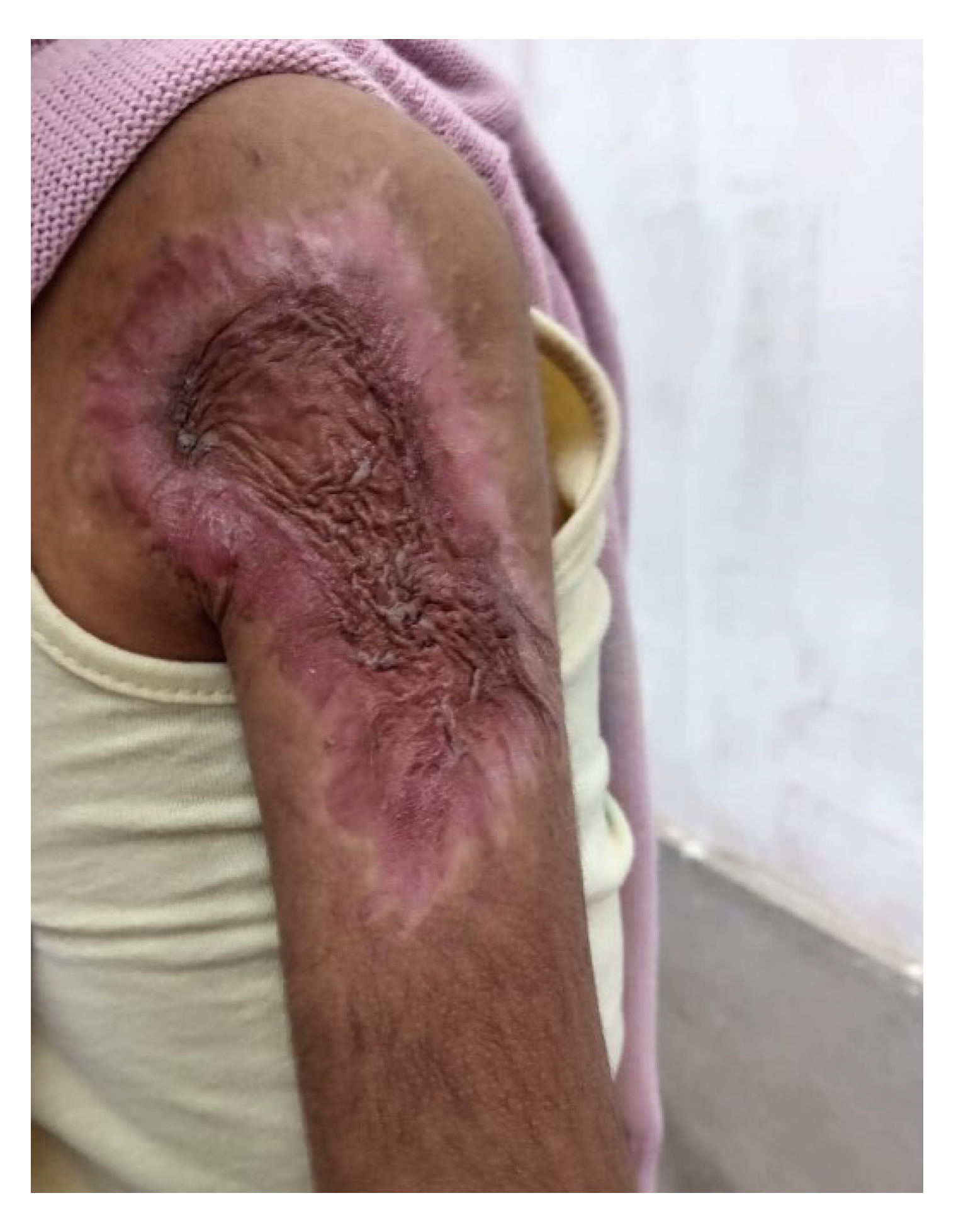 Preprints 192040 g004