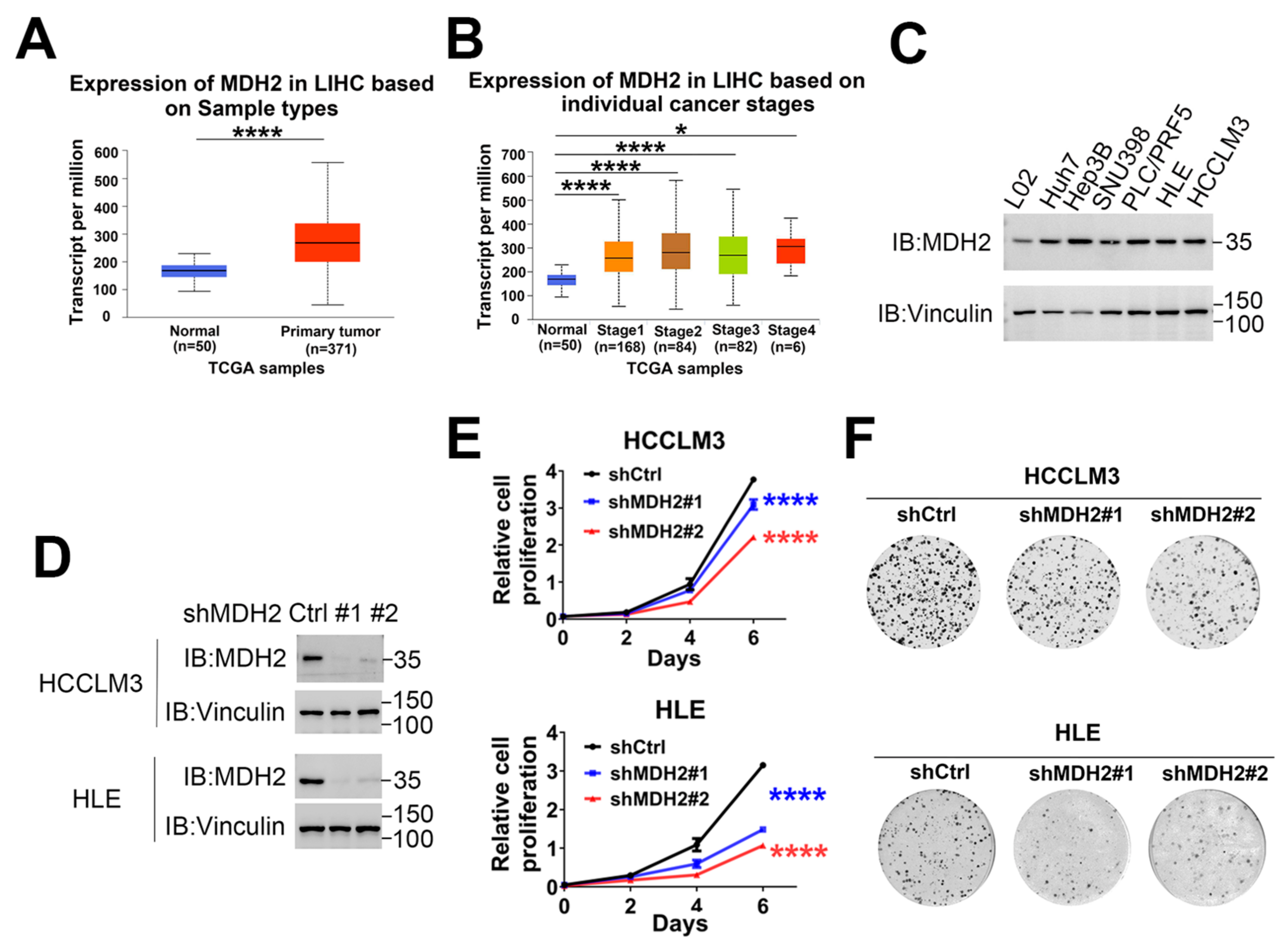 Preprints 107658 g001