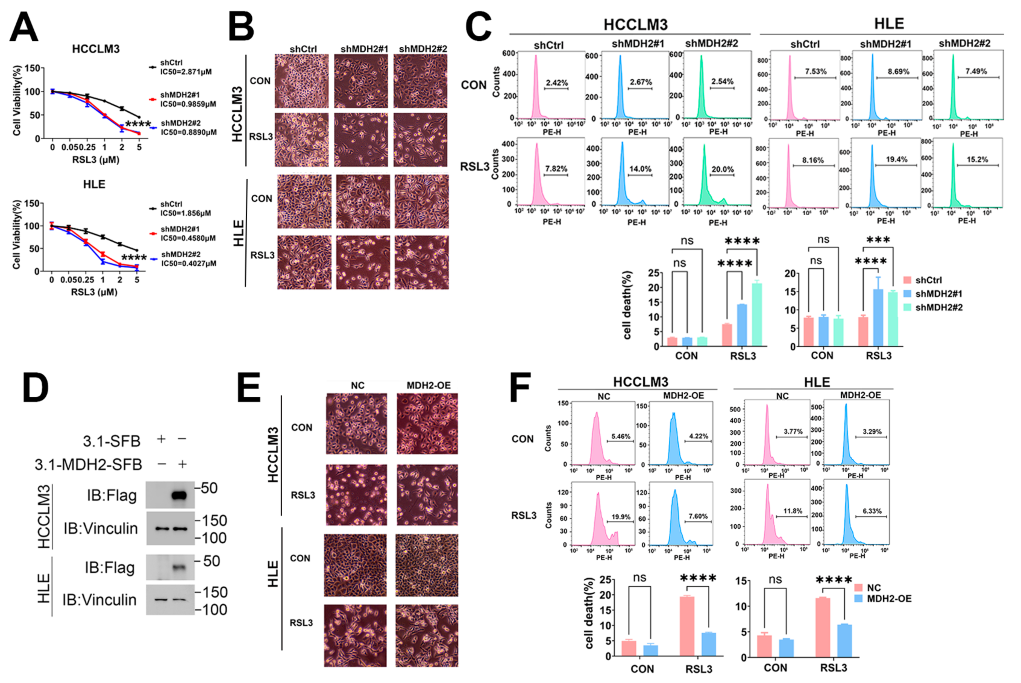 Preprints 107658 g002