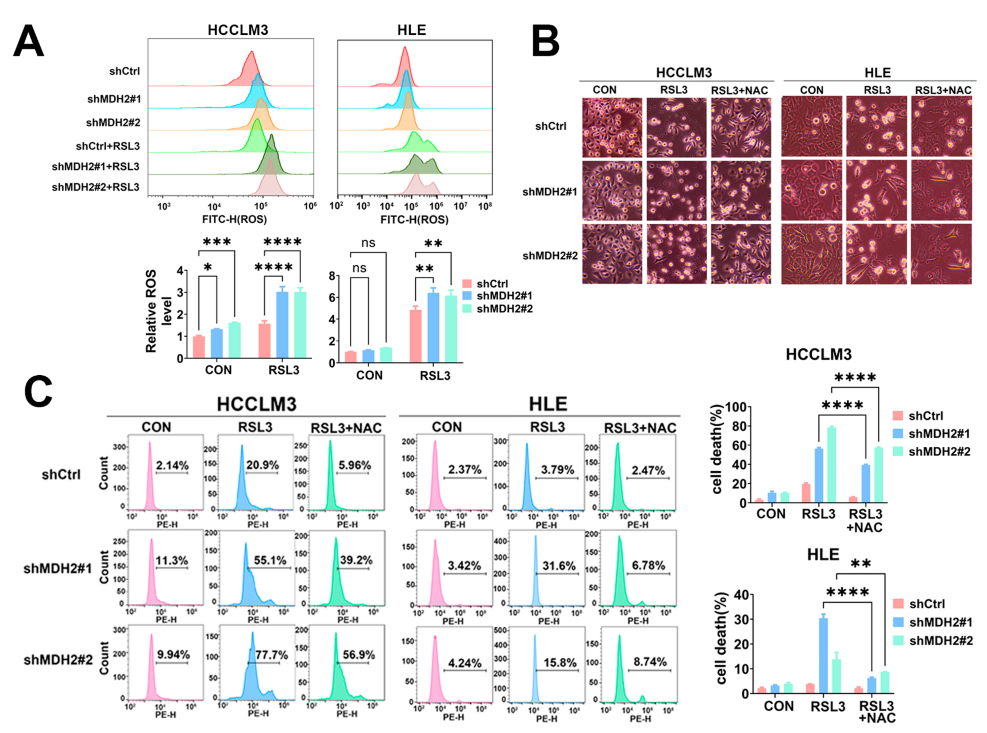 Preprints 107658 g003