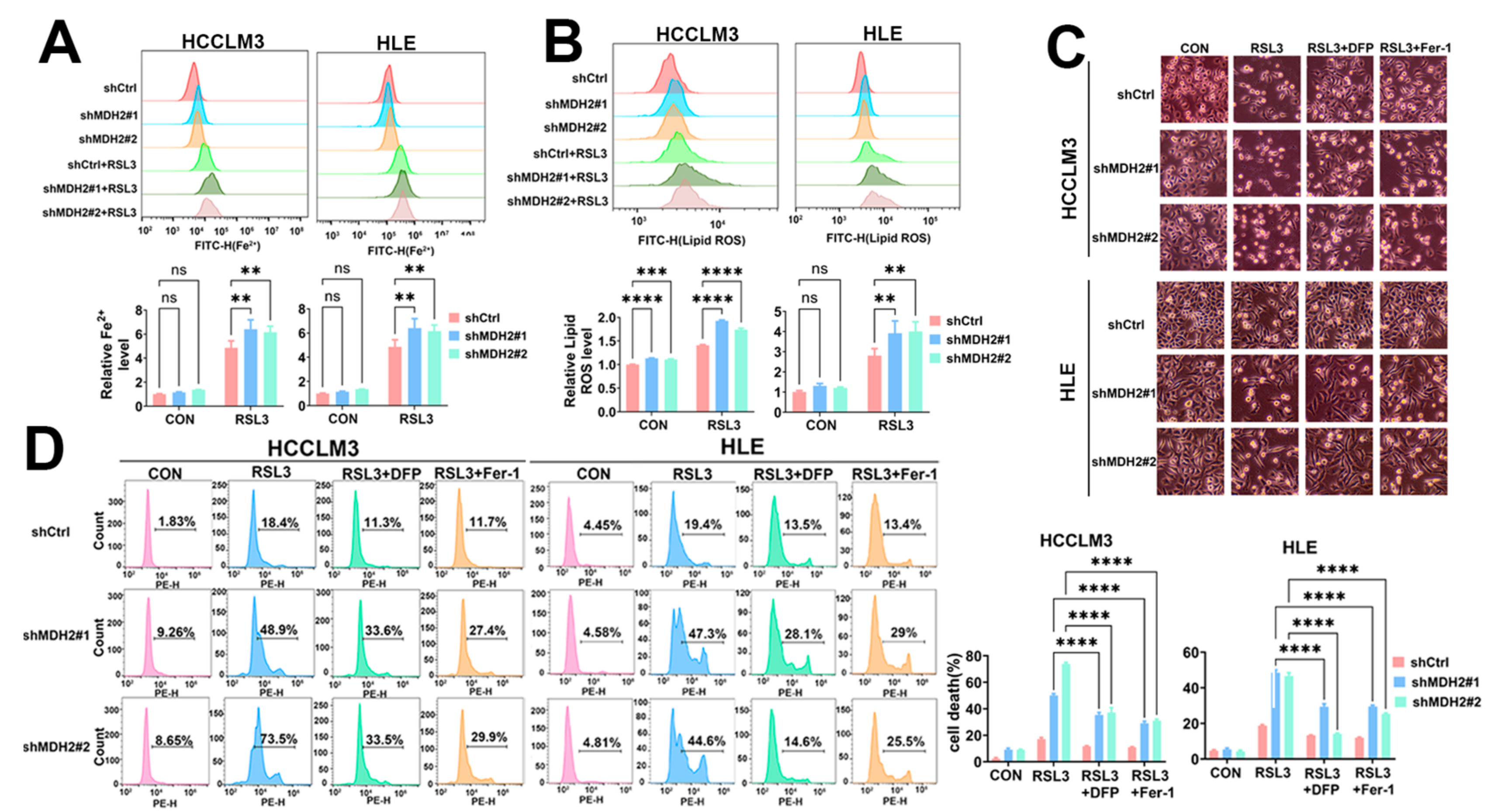 Preprints 107658 g004