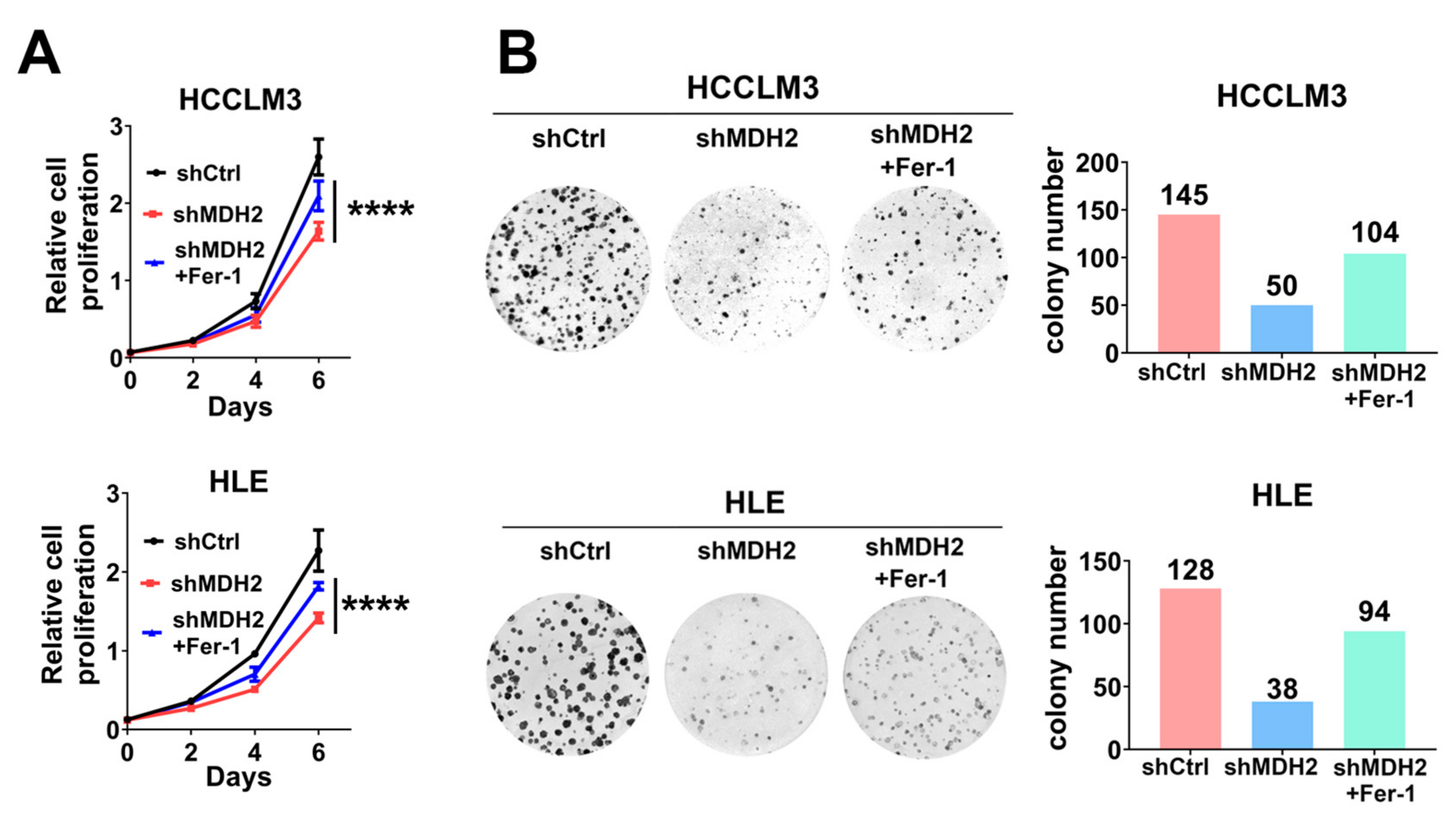 Preprints 107658 g005