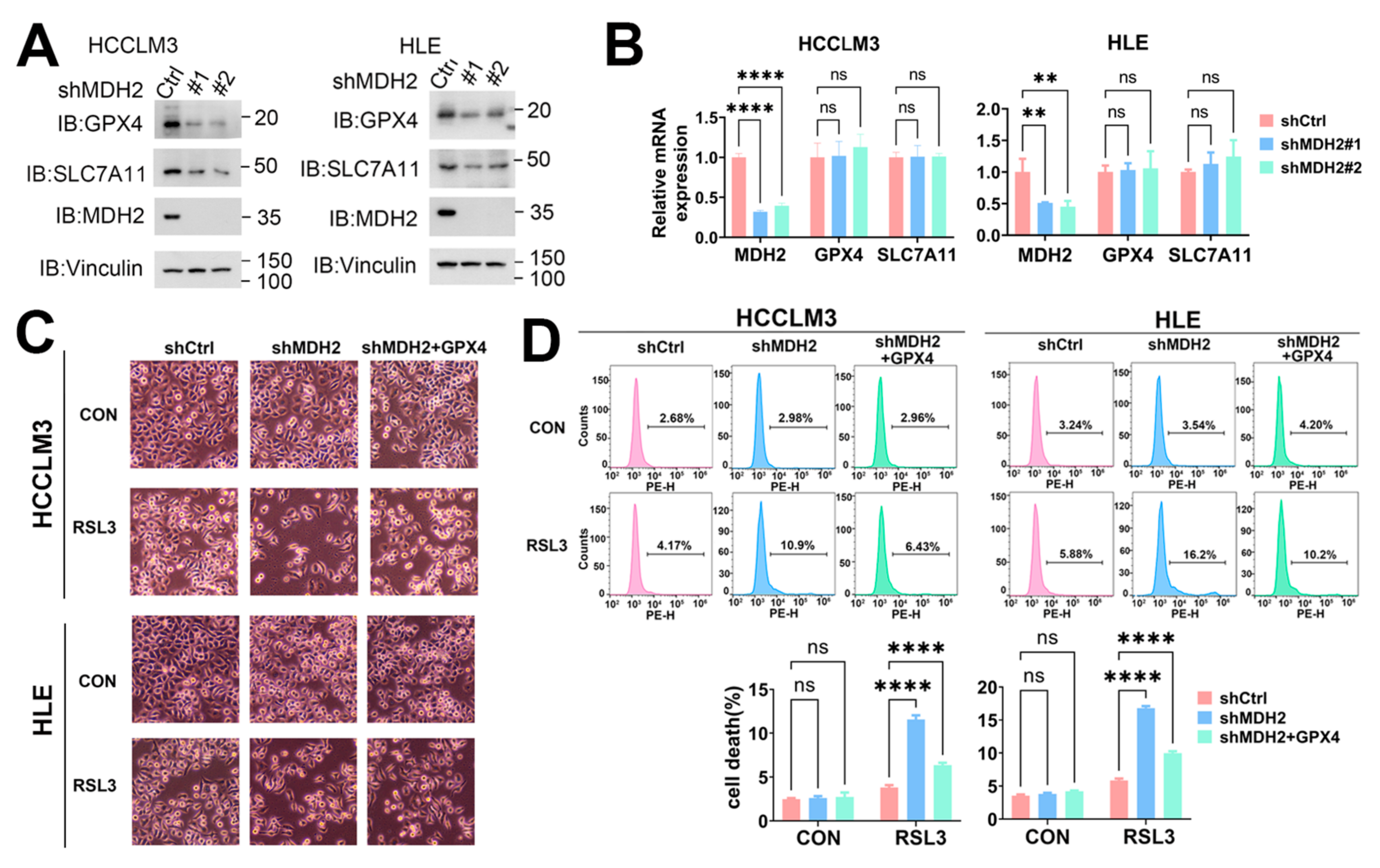 Preprints 107658 g006