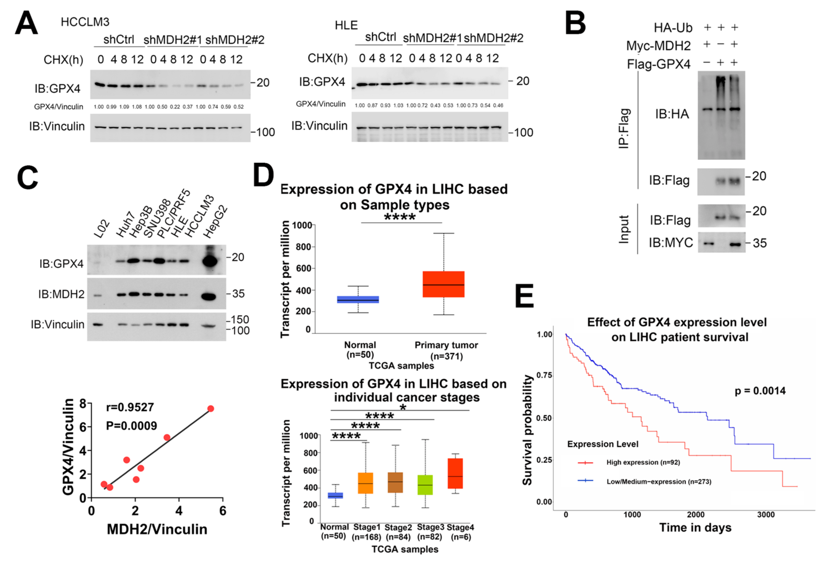 Preprints 107658 g007