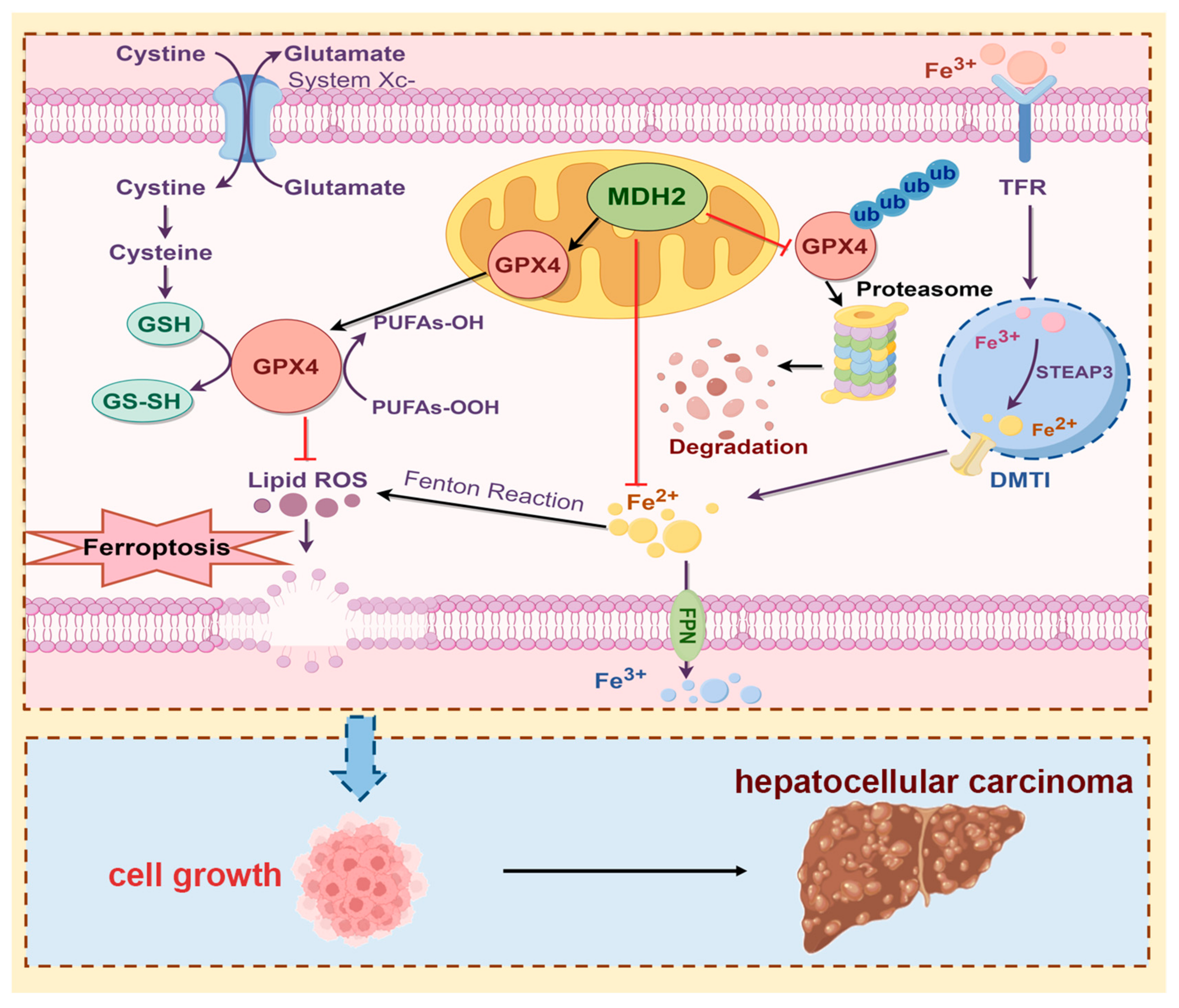 Preprints 107658 g008