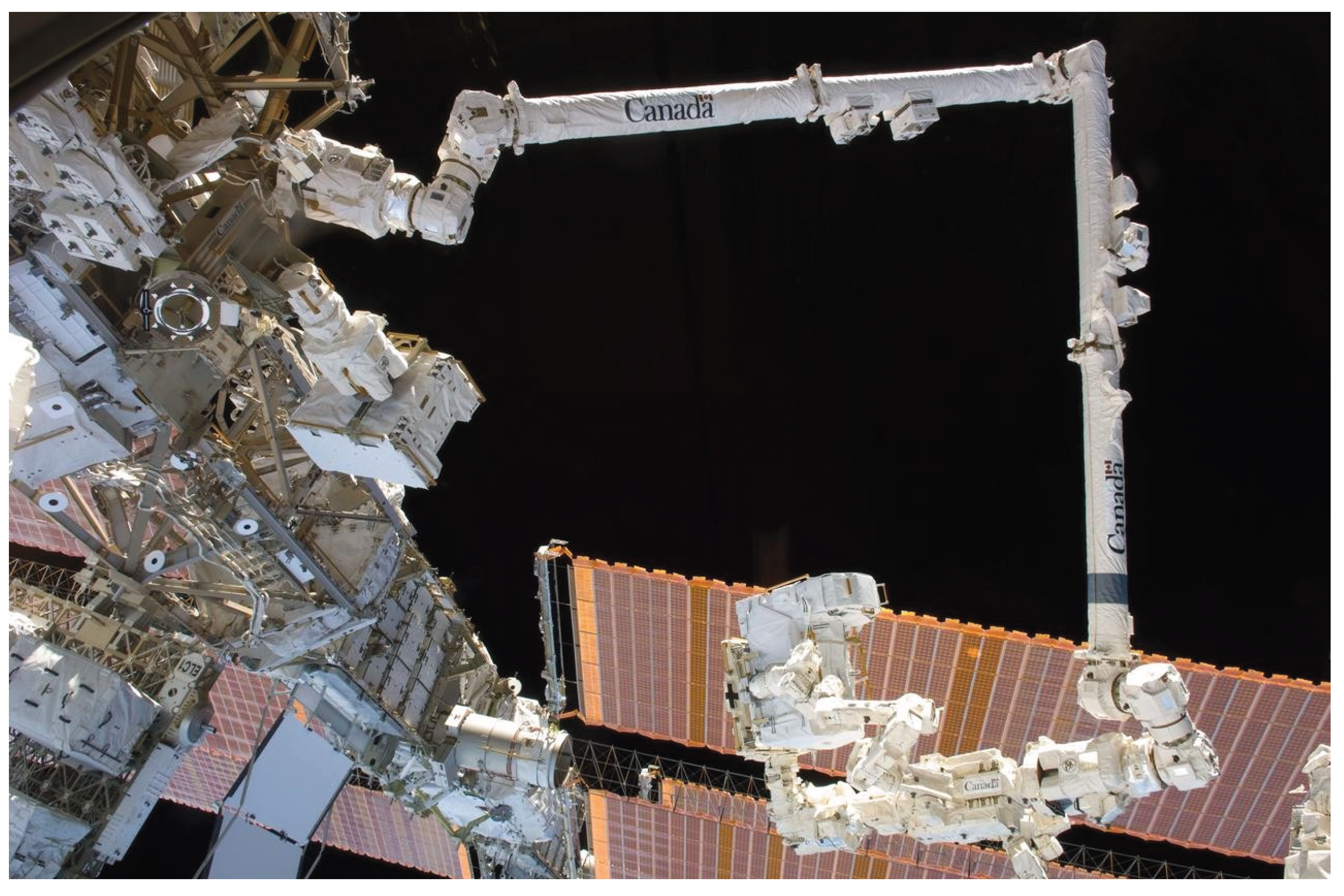 Preprints 171128 g002