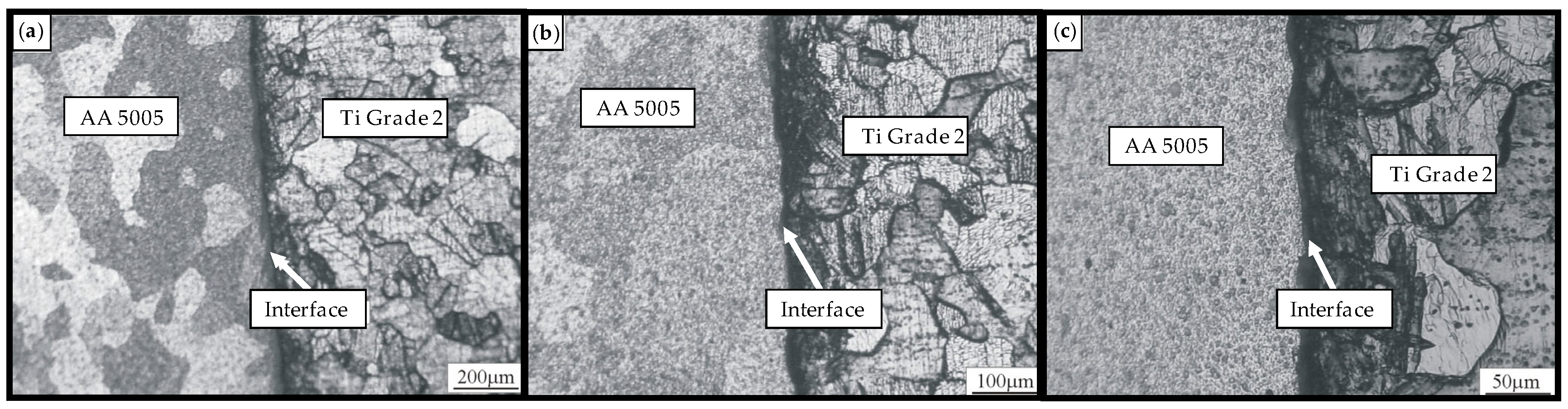 Preprints 153757 g005