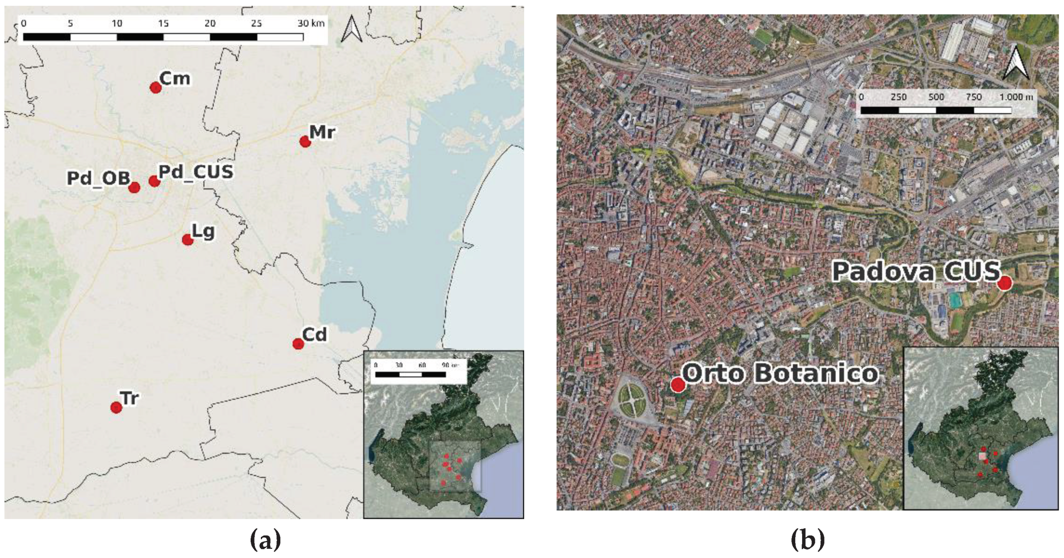 Preprints 99375 g001