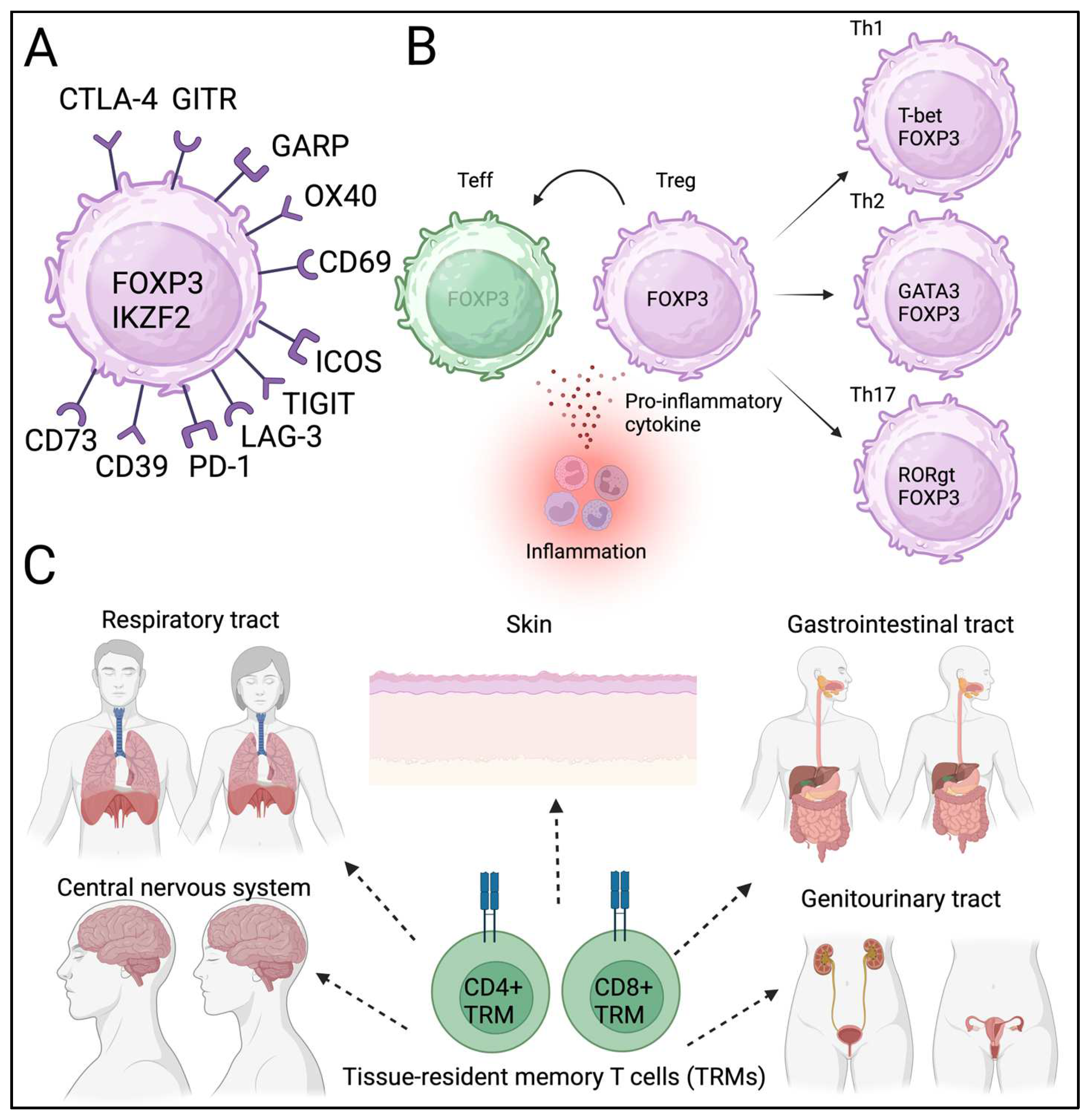 Preprints 158145 g001