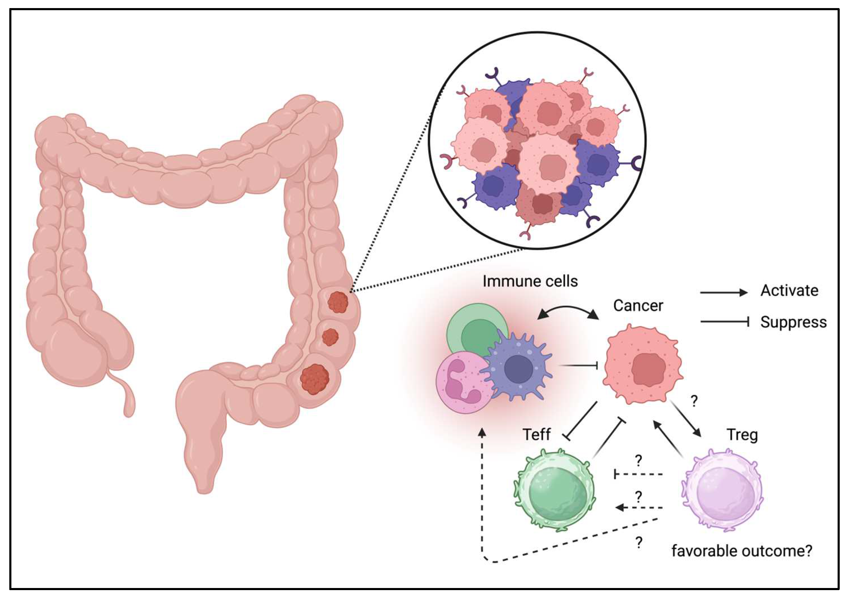 Preprints 158145 g002