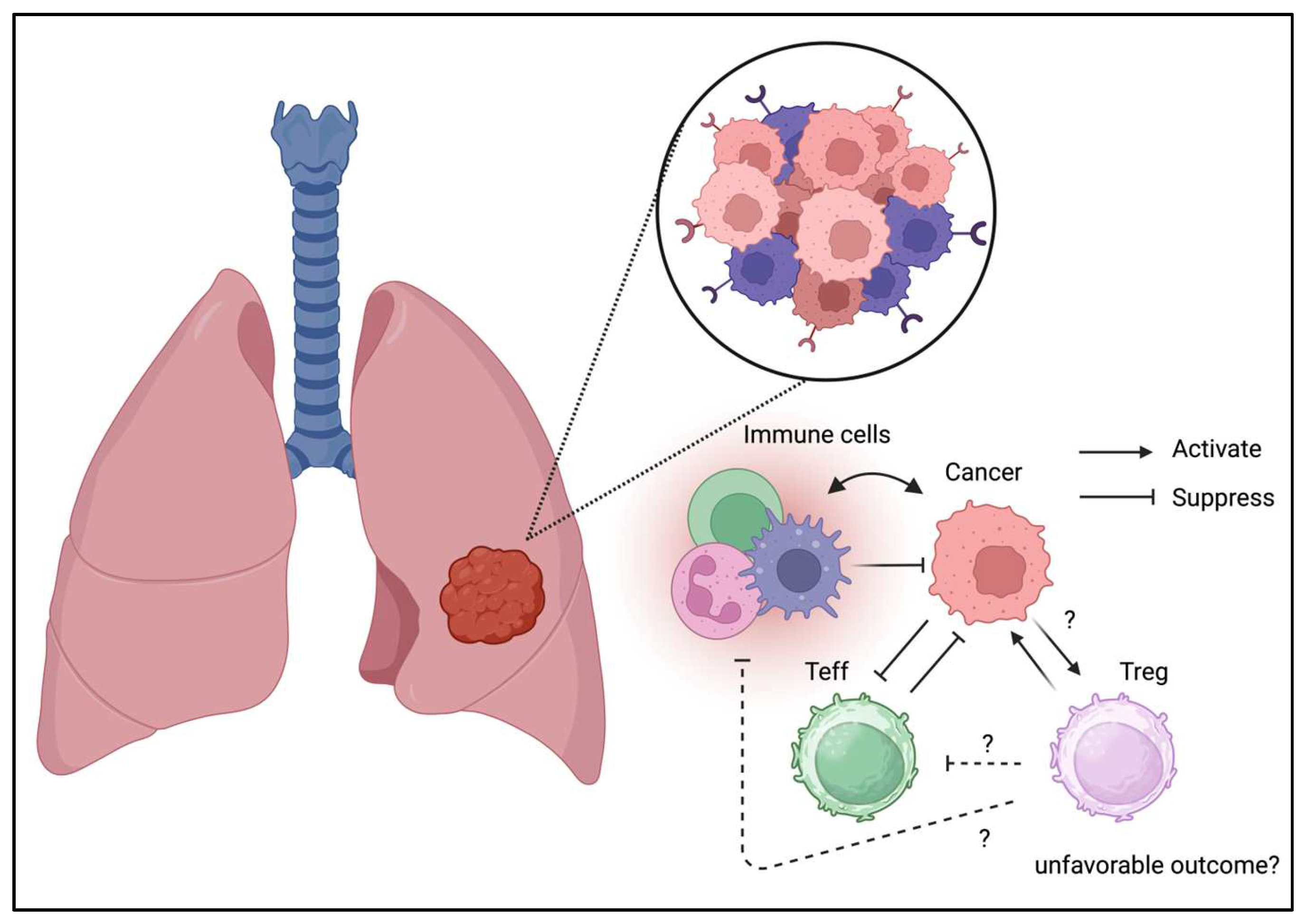 Preprints 158145 g003