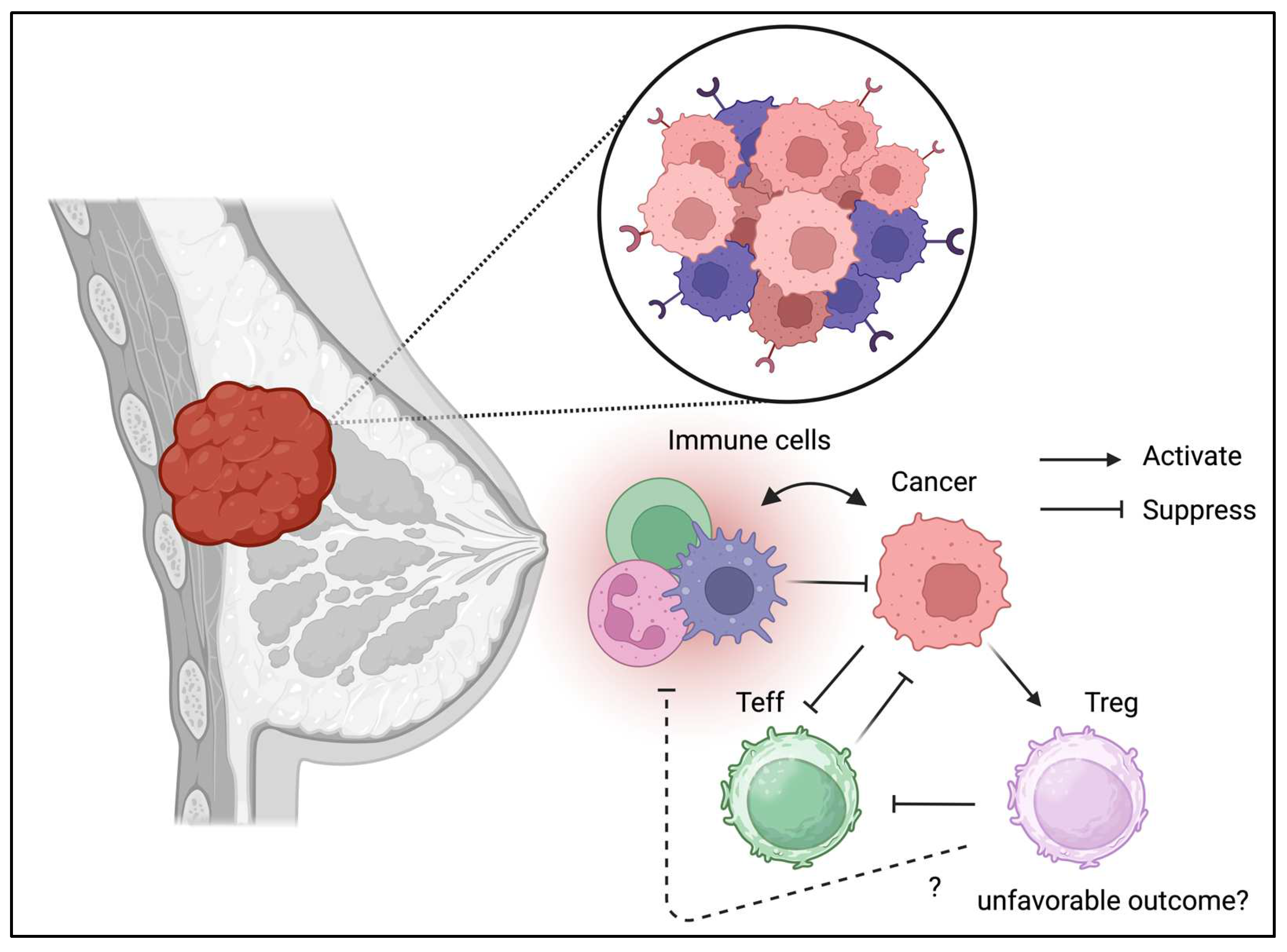 Preprints 158145 g004