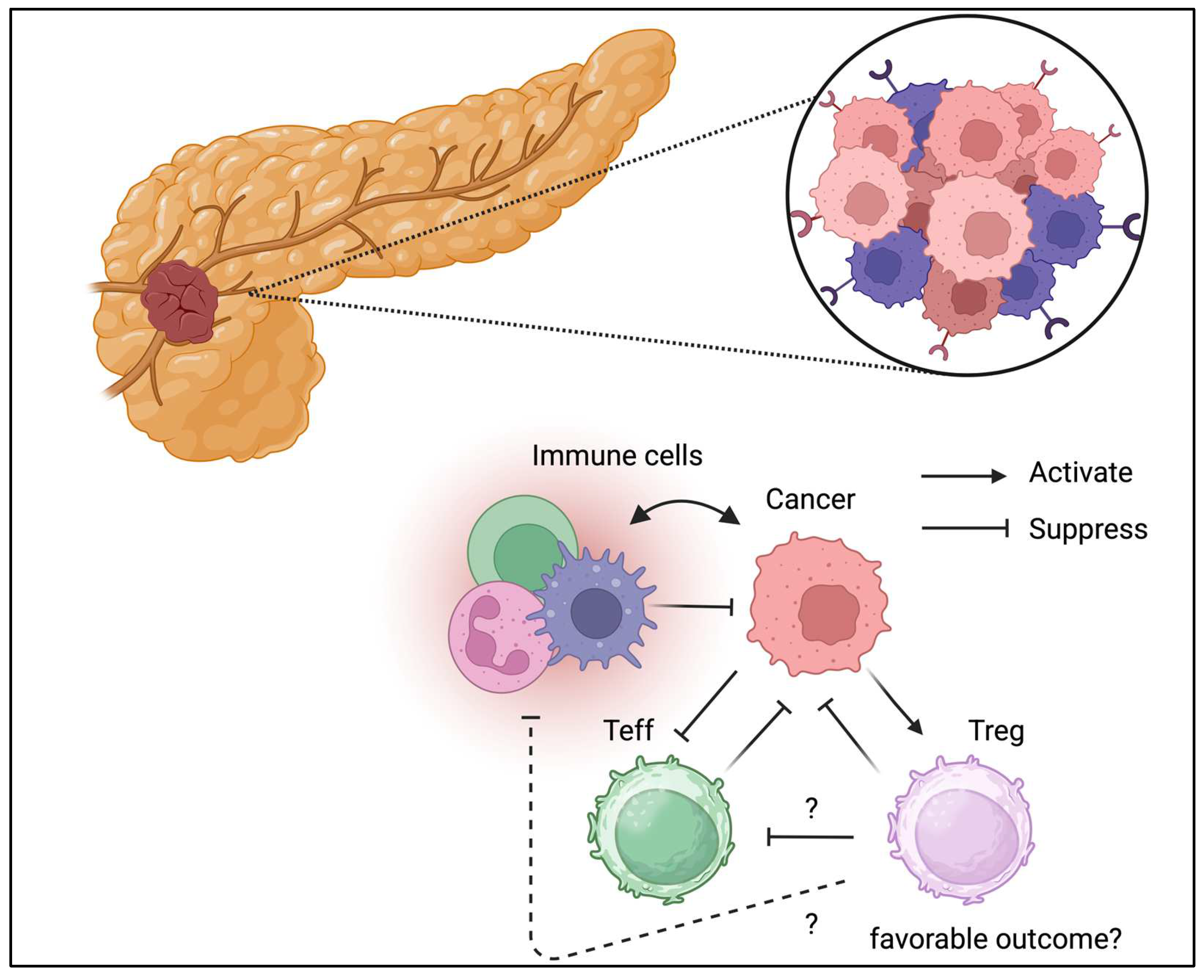 Preprints 158145 g005