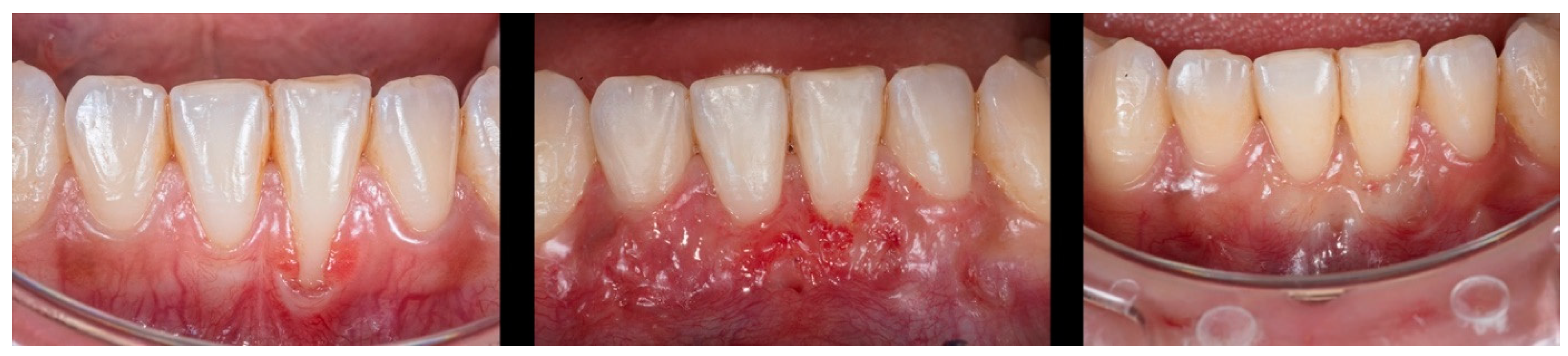 Preprints 82802 g003