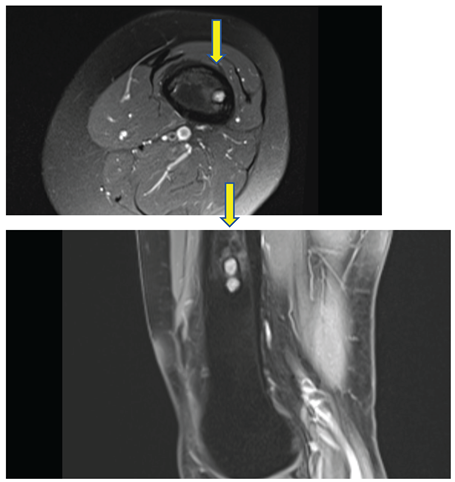 Preprints 164823 i004