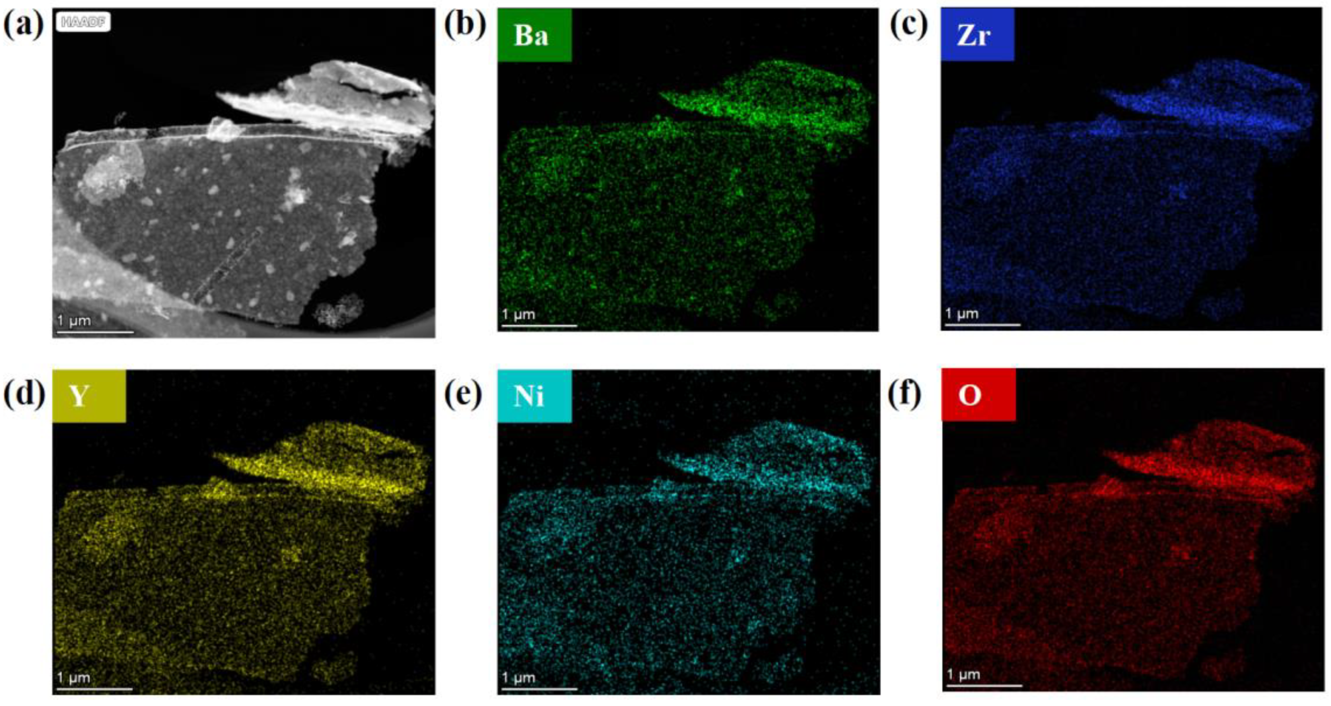 Preprints 90973 g002