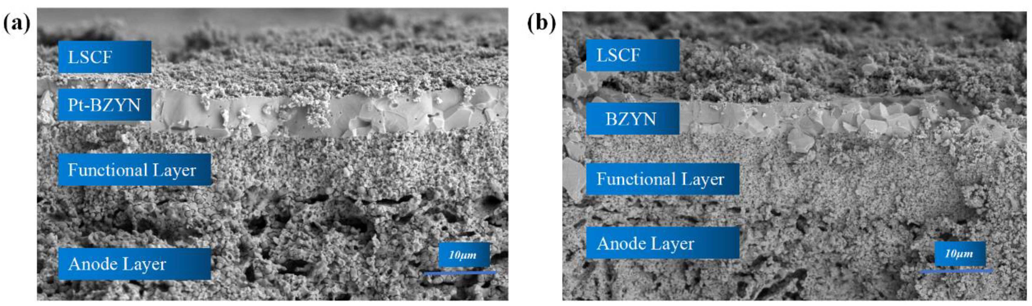 Preprints 90973 g006