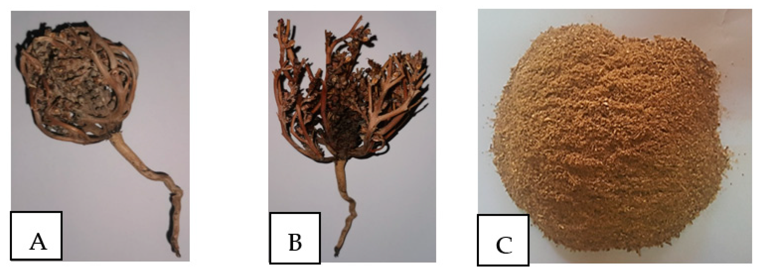 Preprints 79531 g001