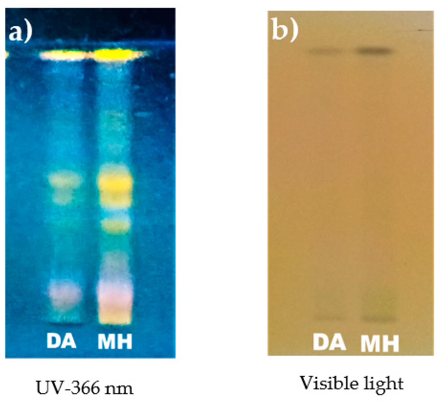 Preprints 79531 g002