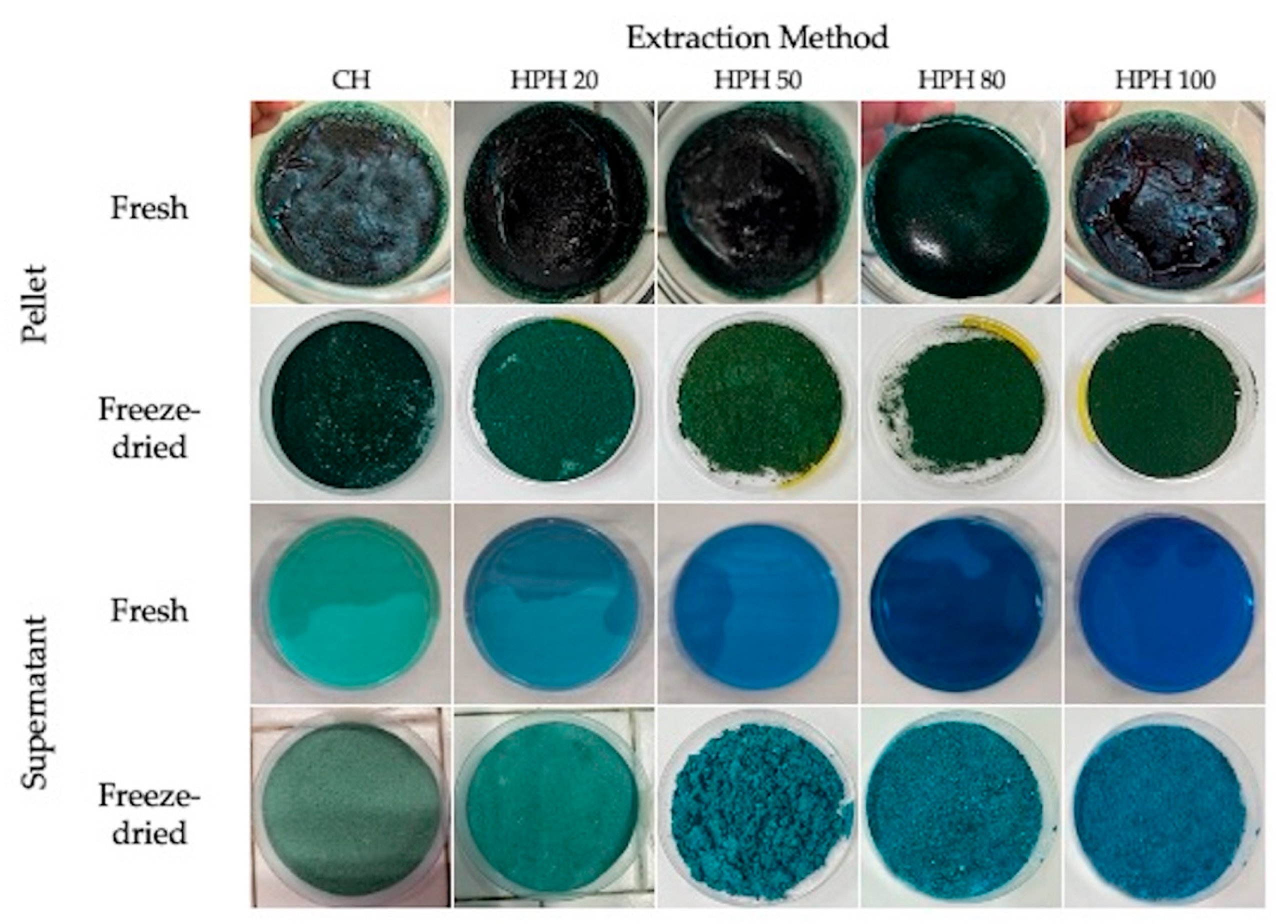 Preprints 181564 g001