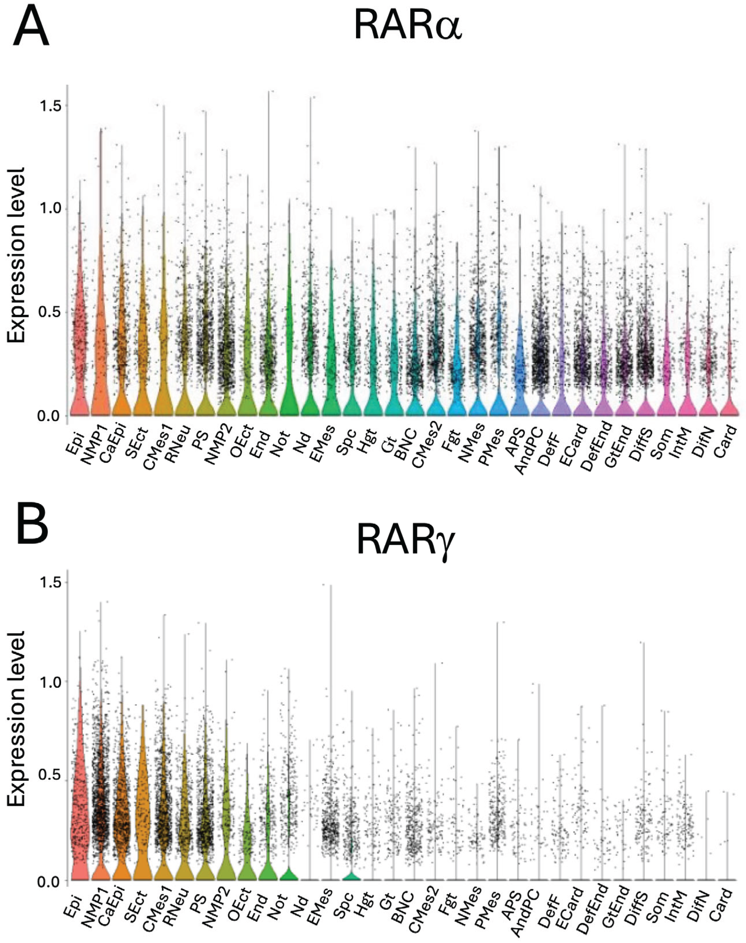 Preprints 205860 g001 Preprints 205860 g001