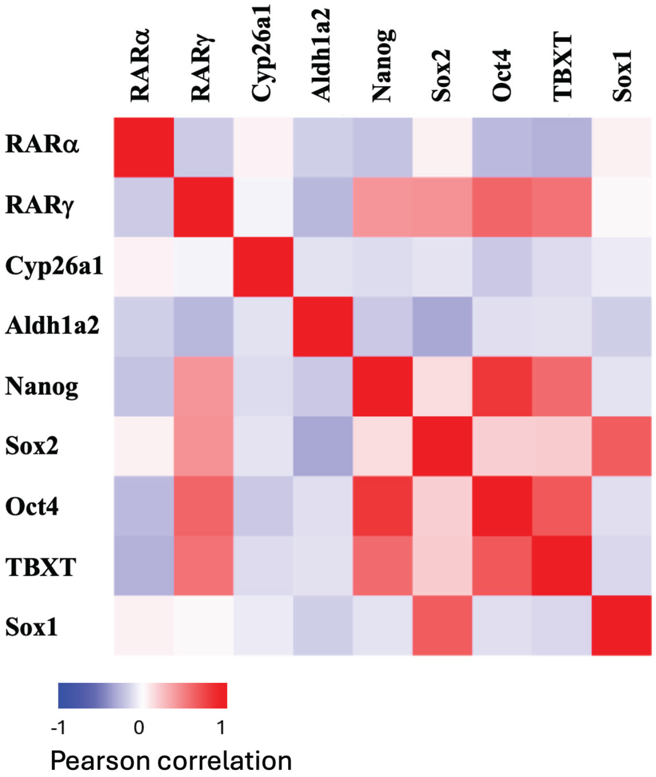 Preprints 205860 g002 Preprints 205860 g002