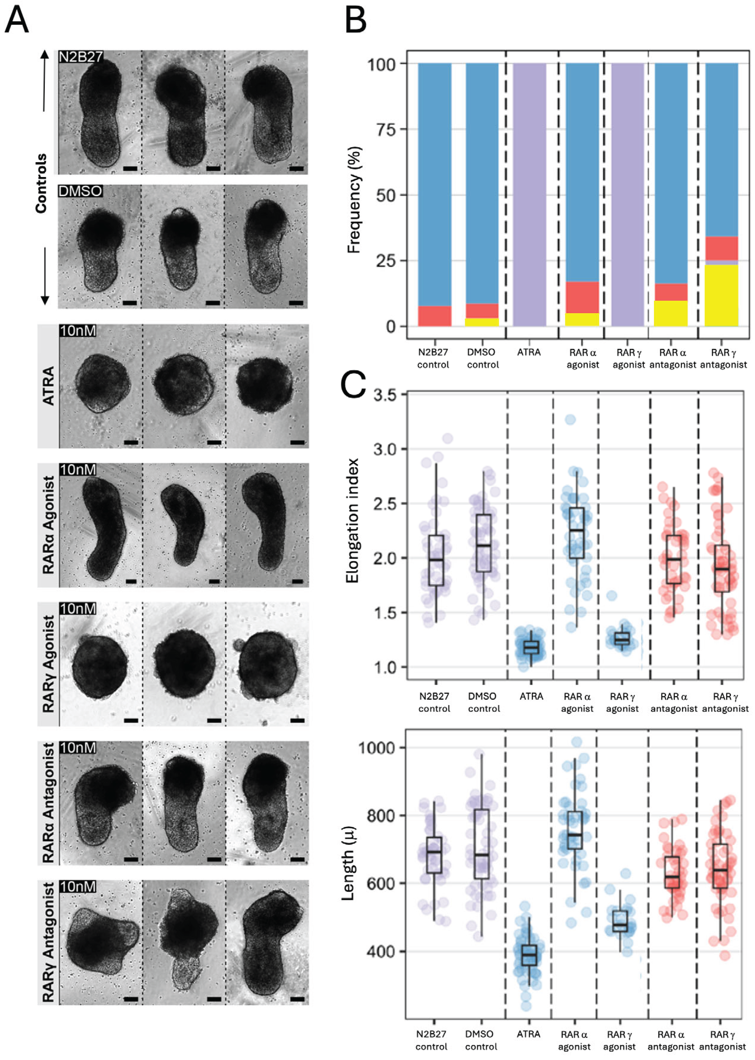 Preprints 205860 g003 Preprints 205860 g003