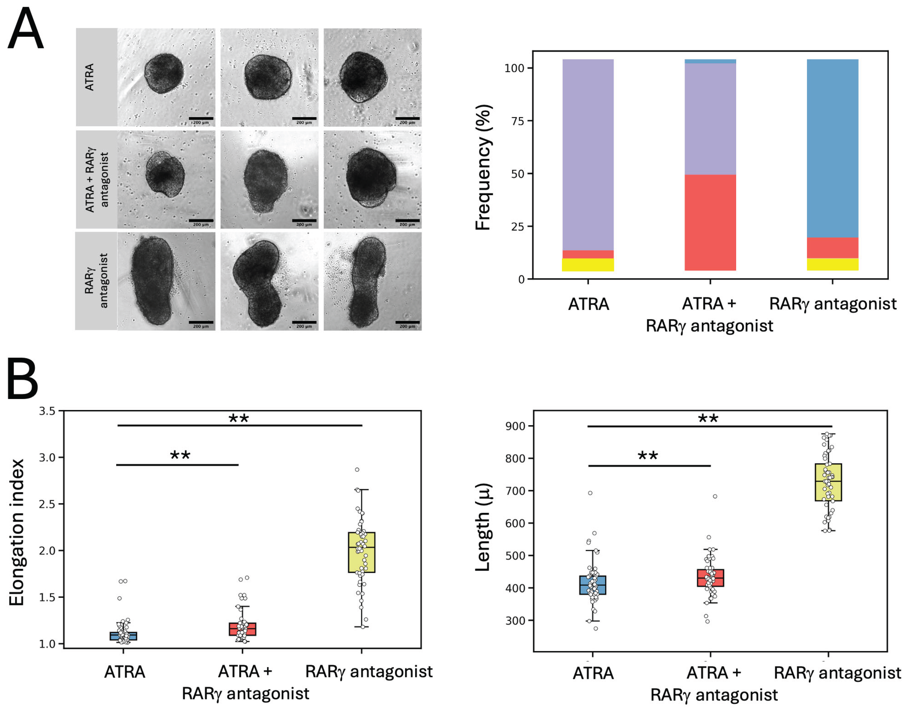 Preprints 205860 g005 Preprints 205860 g005