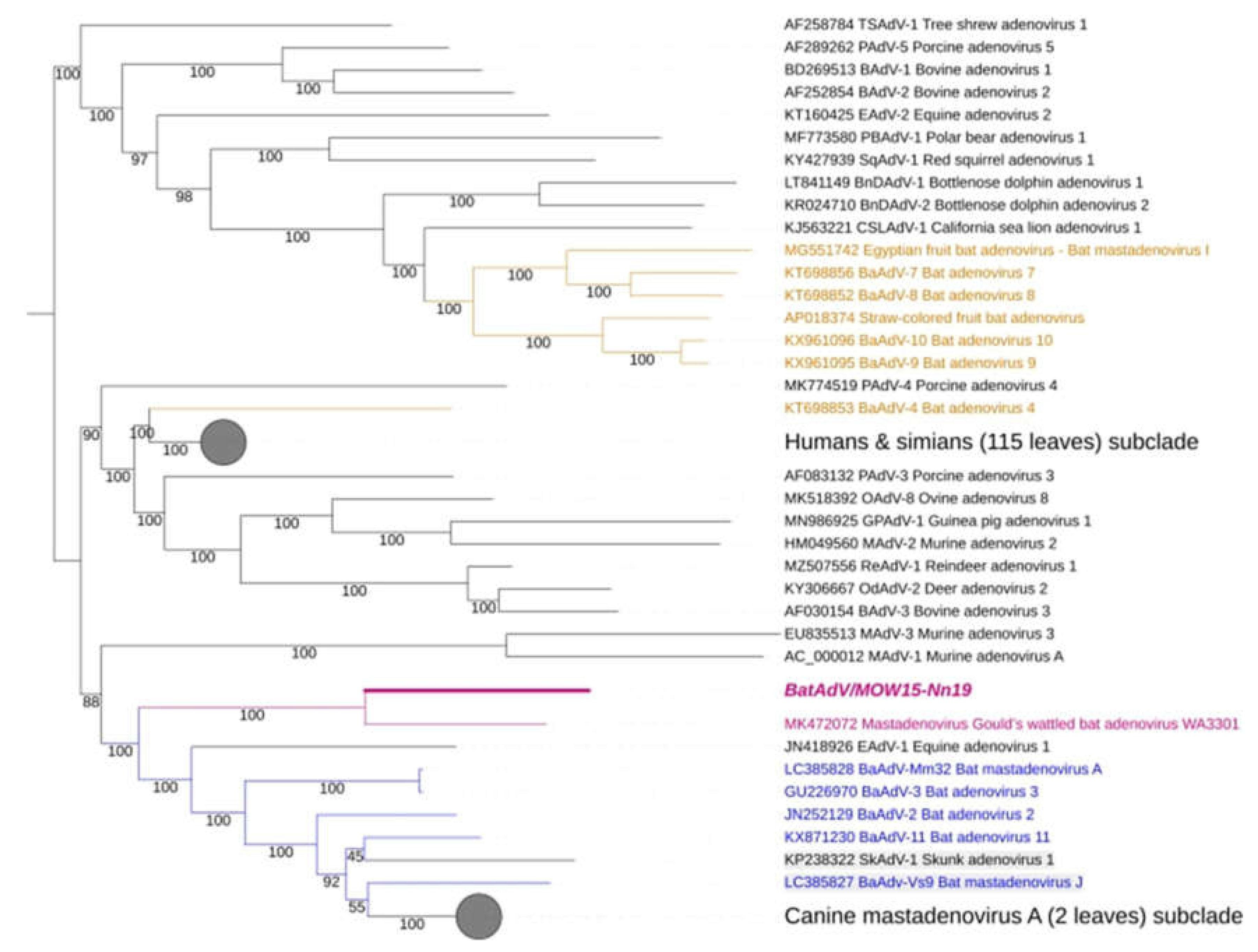 Preprints 105960 g002