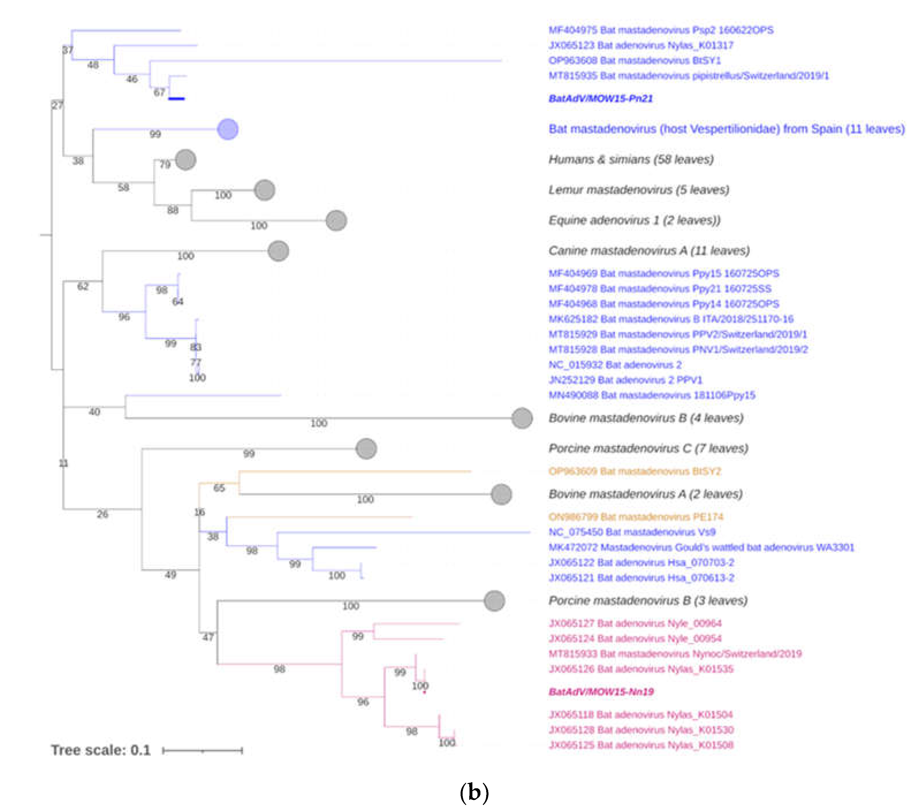 Preprints 105960 g003b