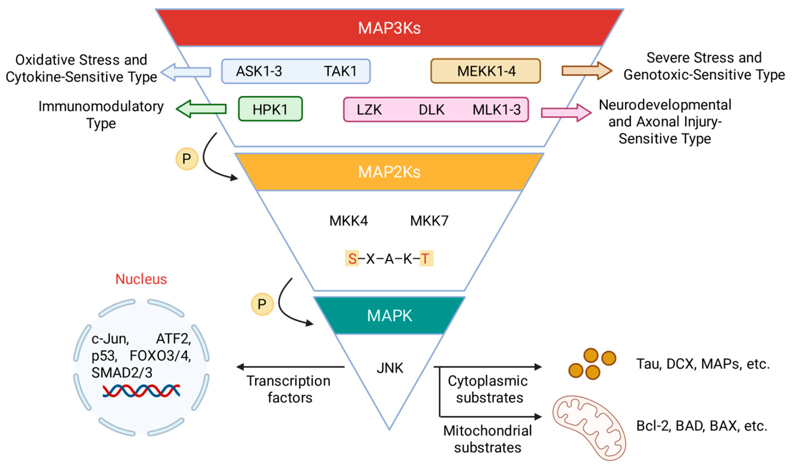 Preprints 196085 g001