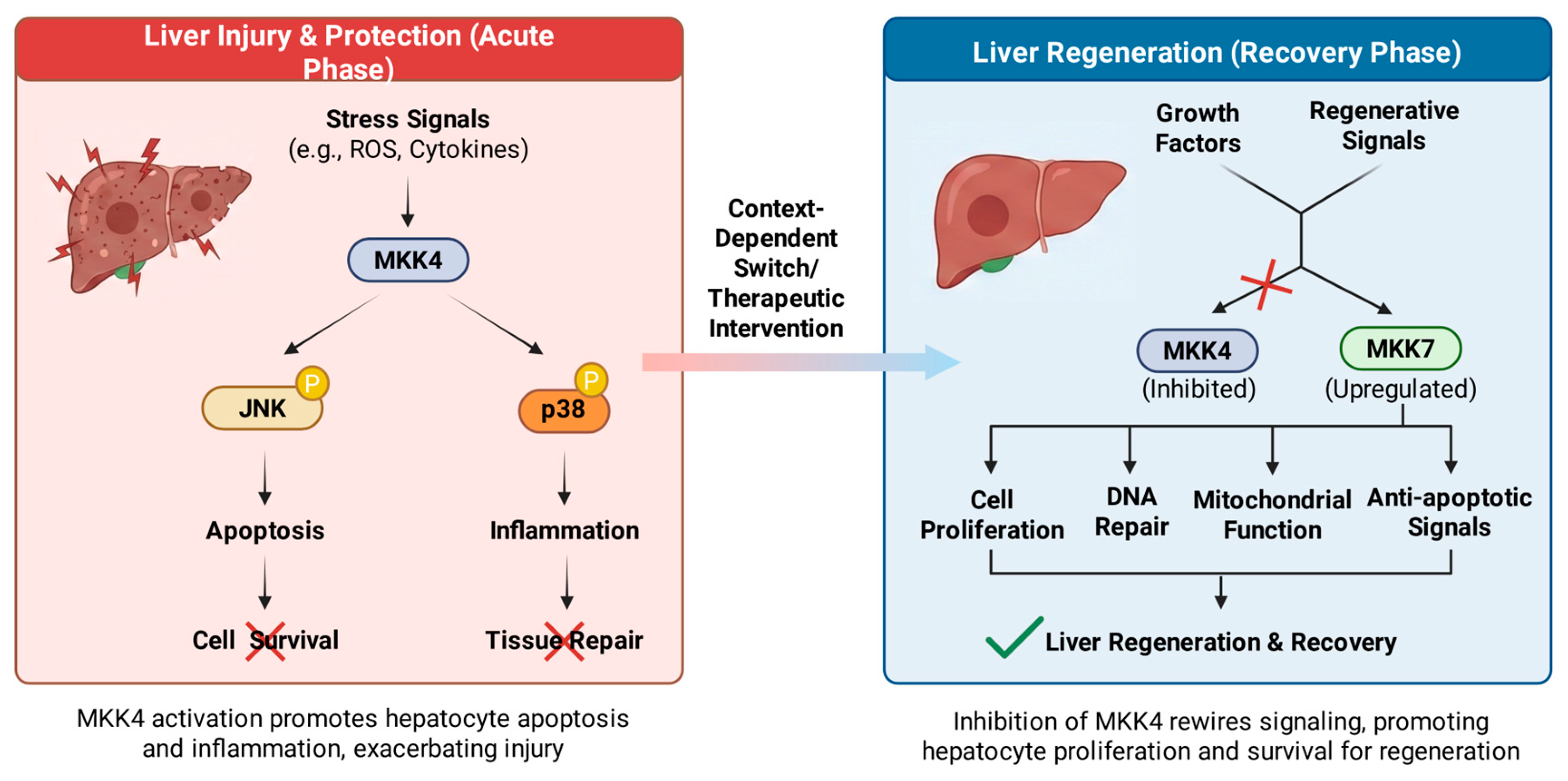 Preprints 196085 g002