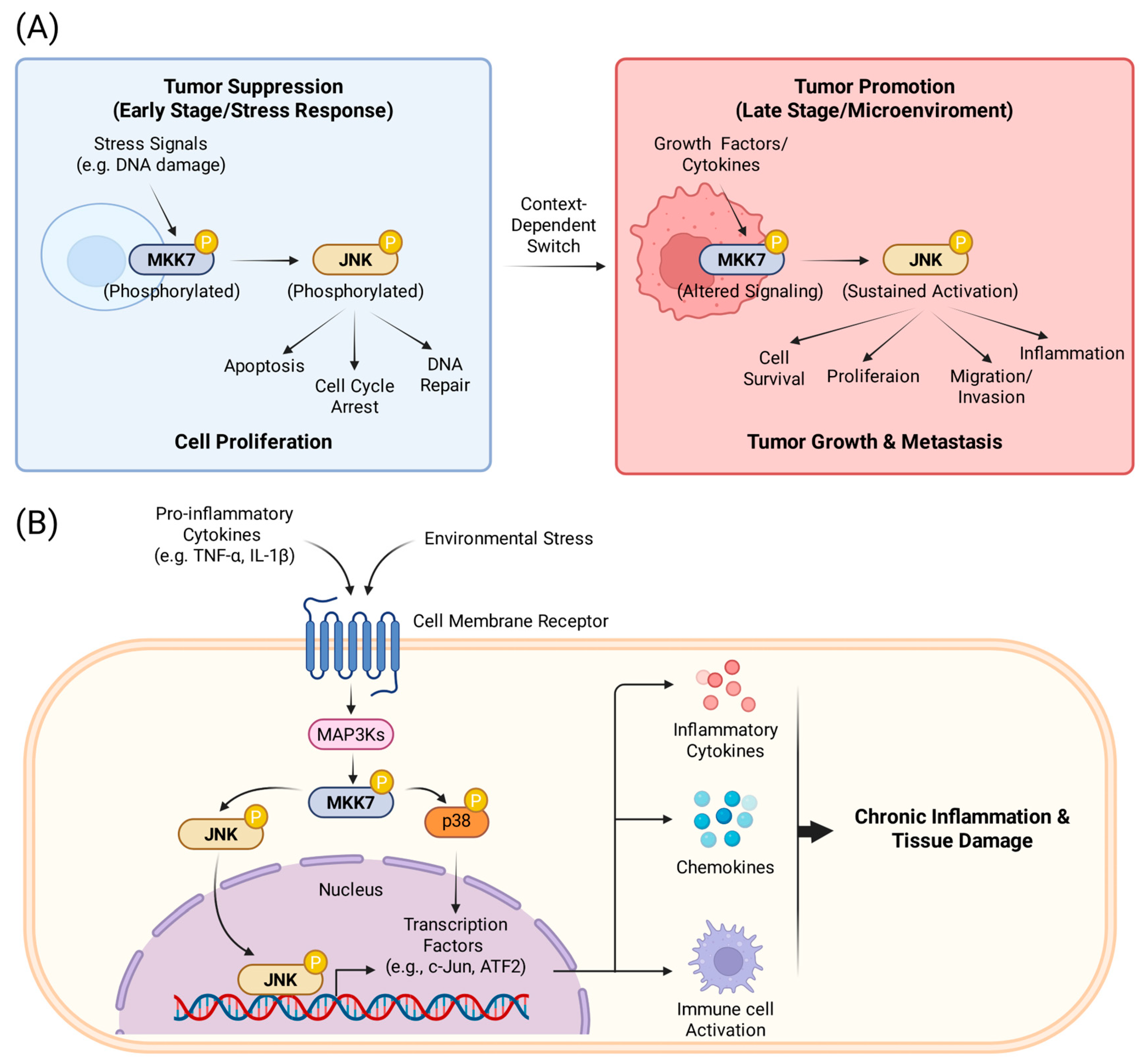 Preprints 196085 g003