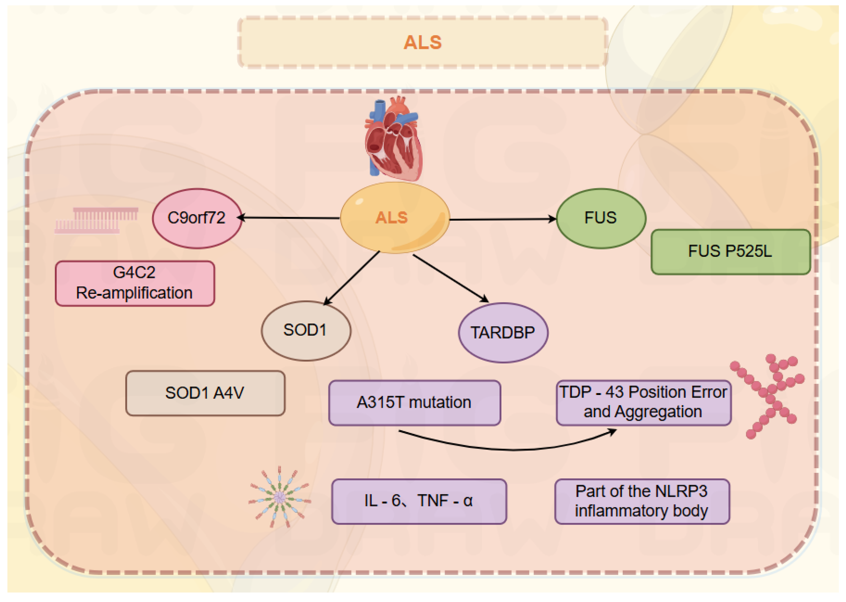 Preprints 169140 g001