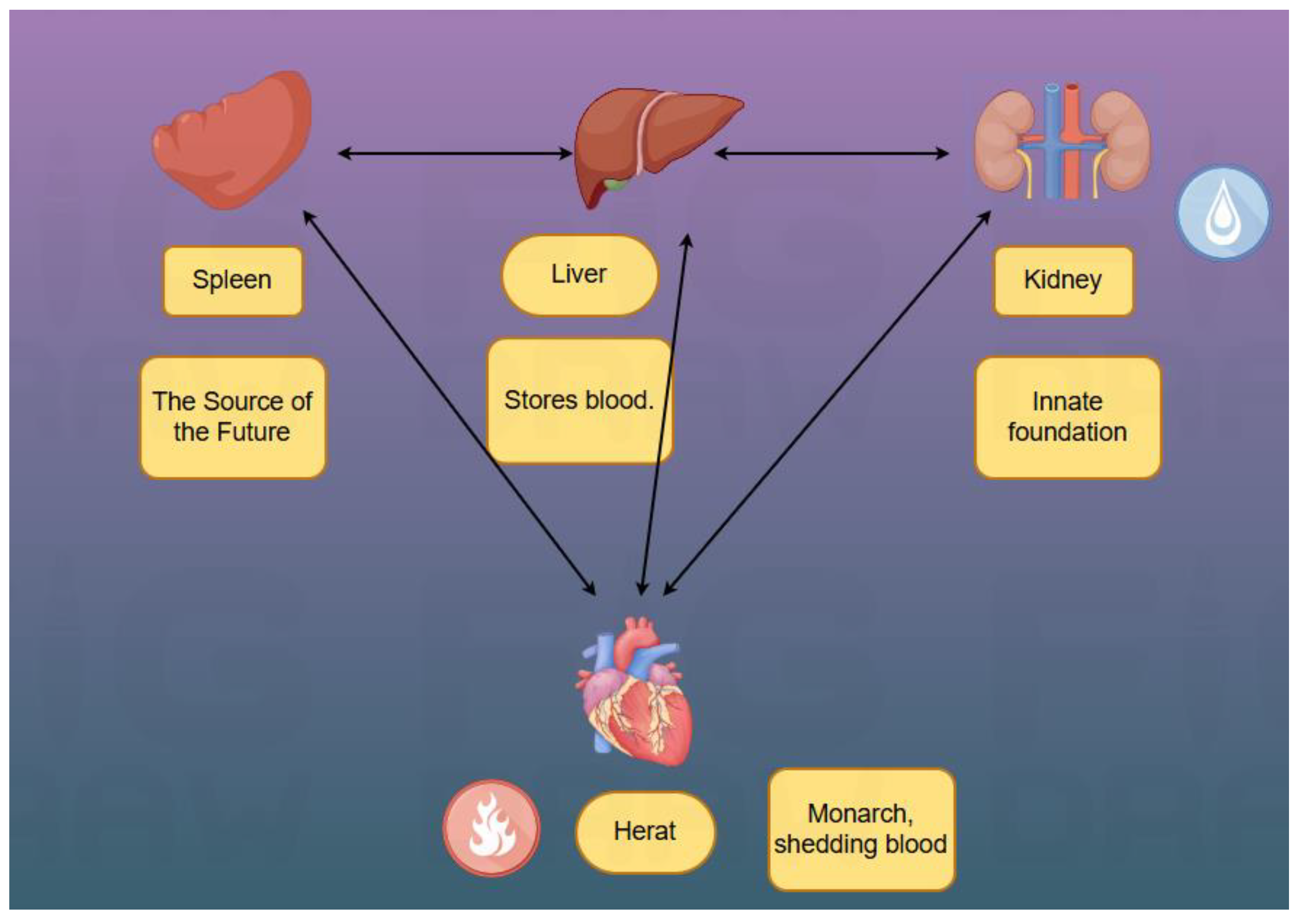 Preprints 169140 g002