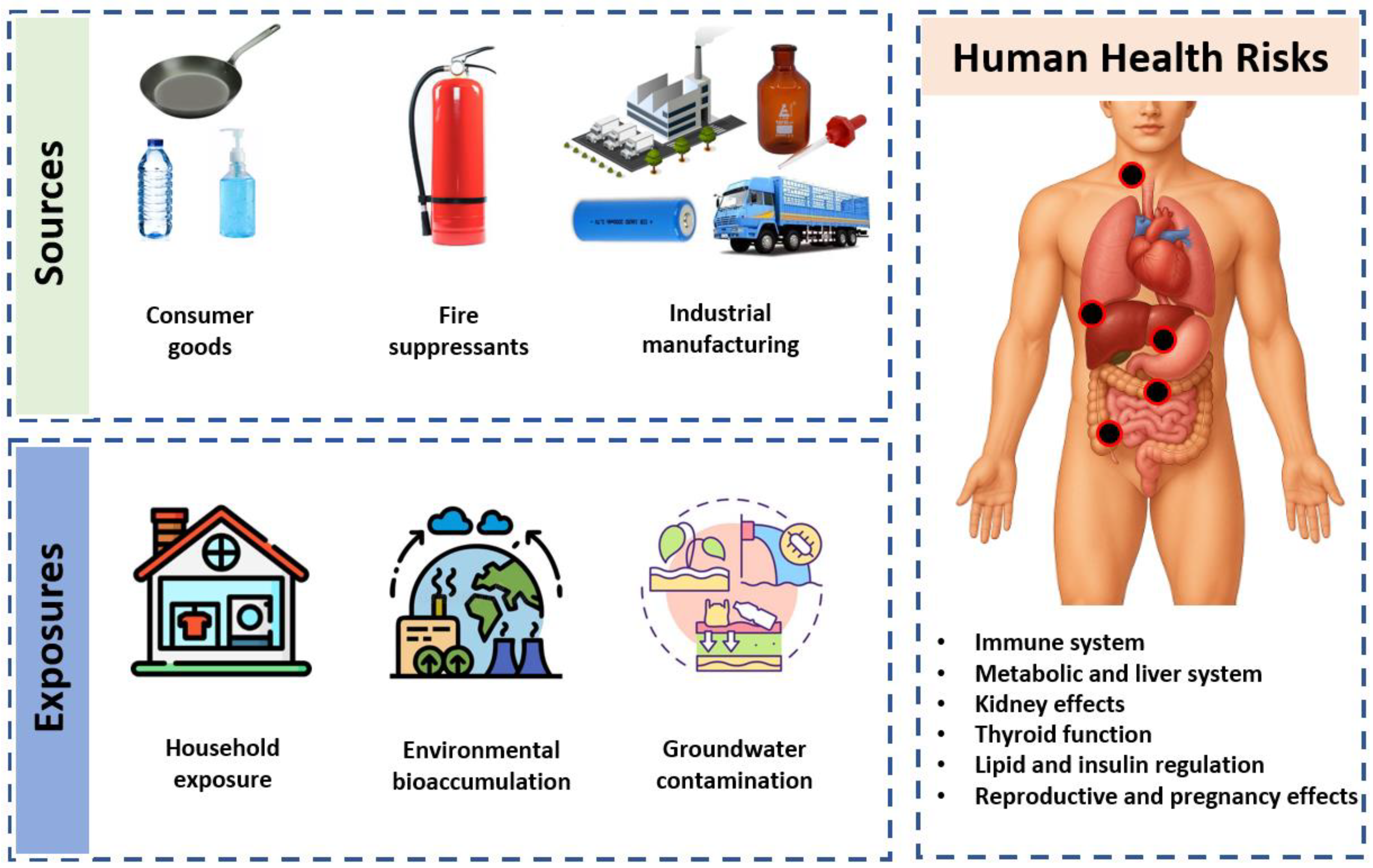 Preprints 190649 g001