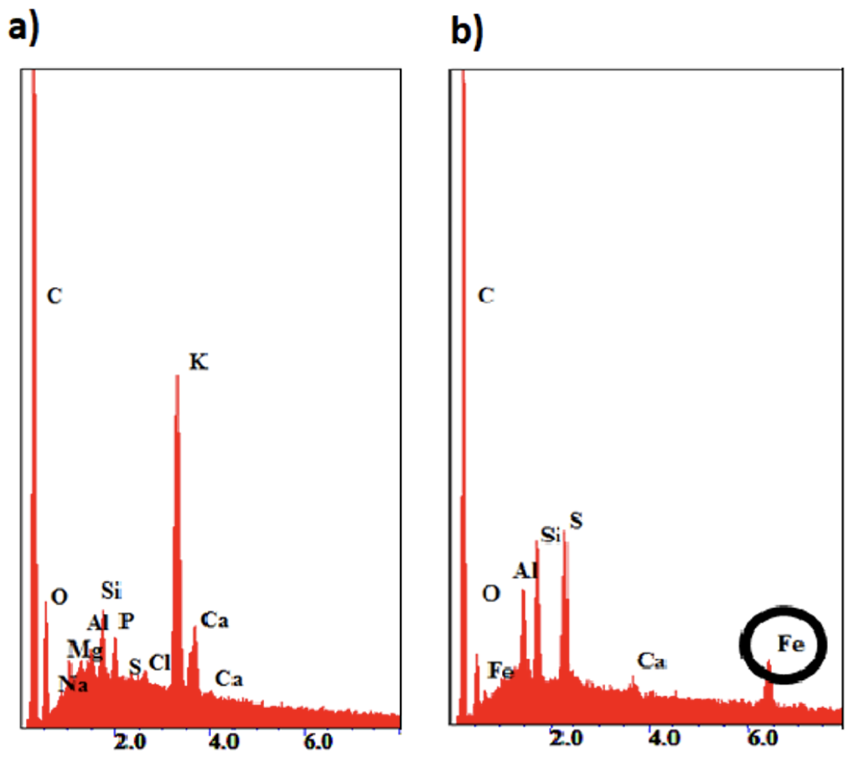 Preprints 190649 g003