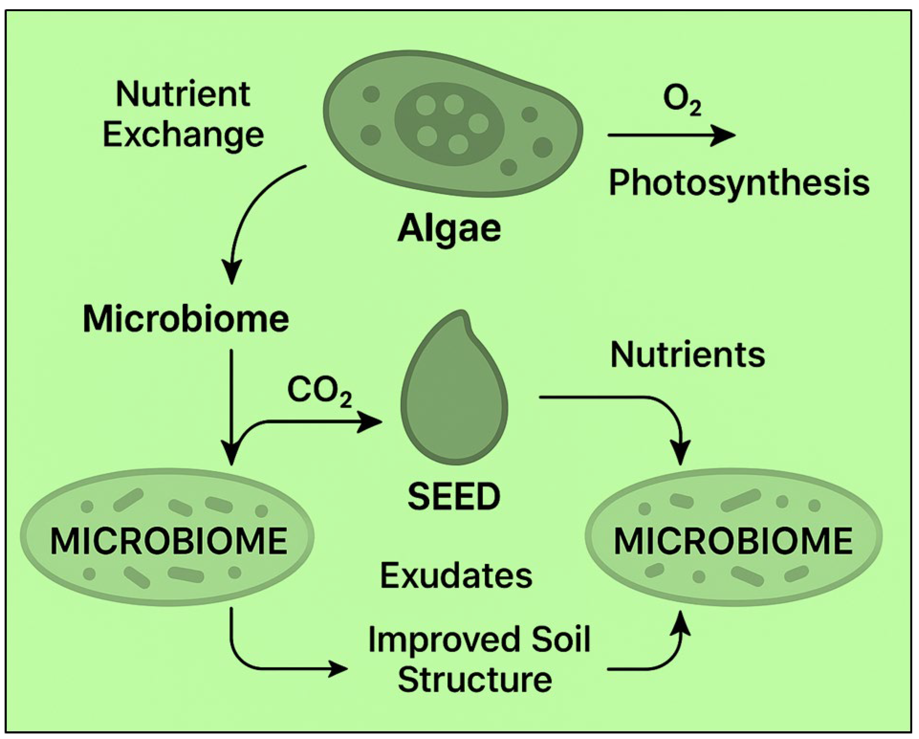 Preprints 177641 g002