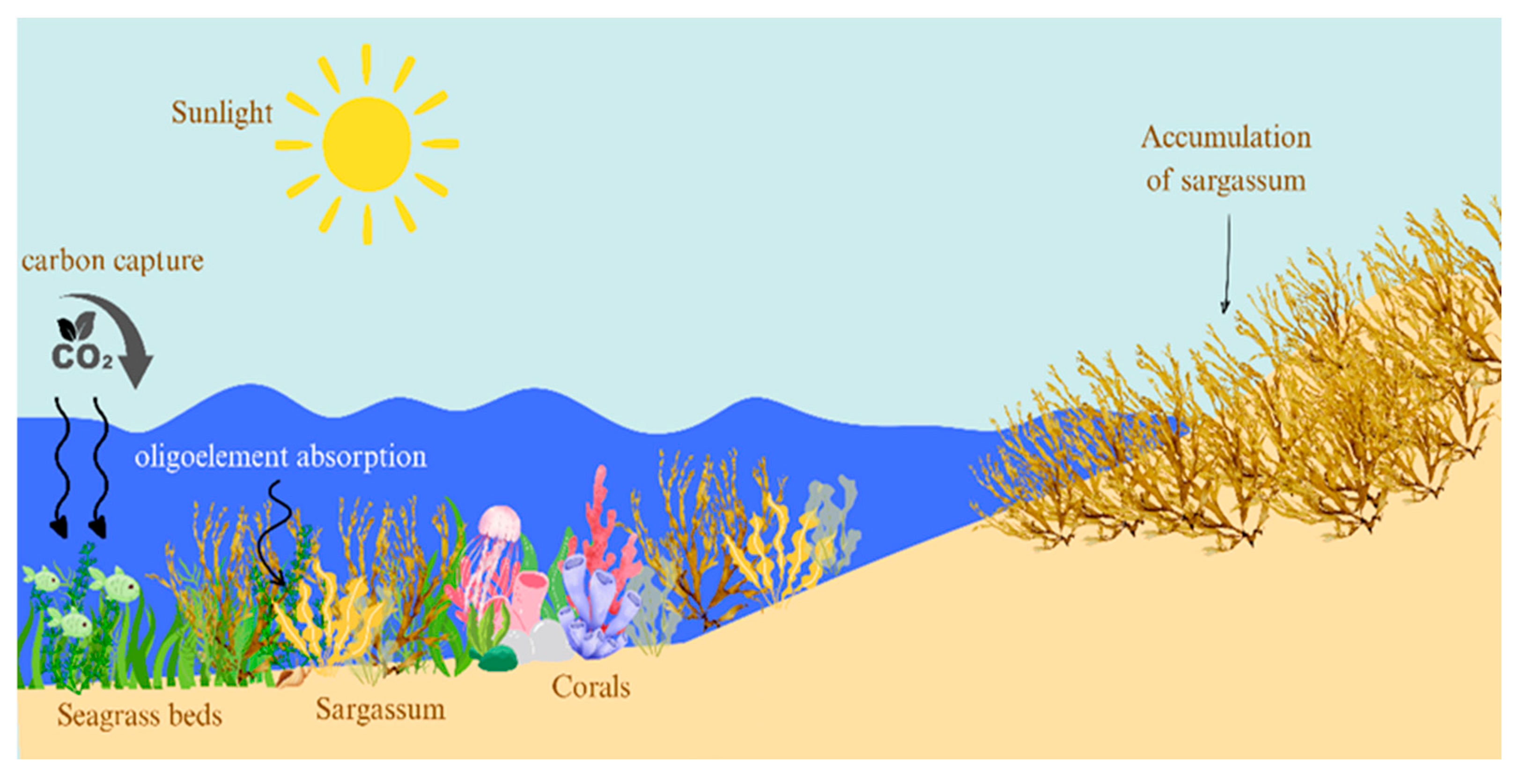 Preprints 183732 g003