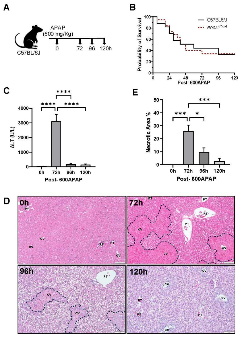 Preprints 231884 g001 Preprints 231884 g001