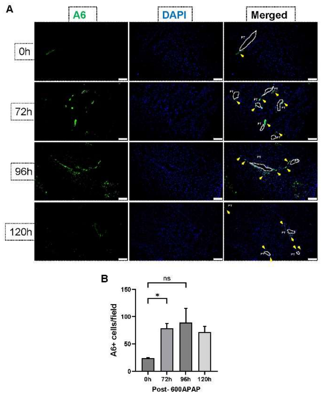 Preprints 231884 g003 Preprints 231884 g003
